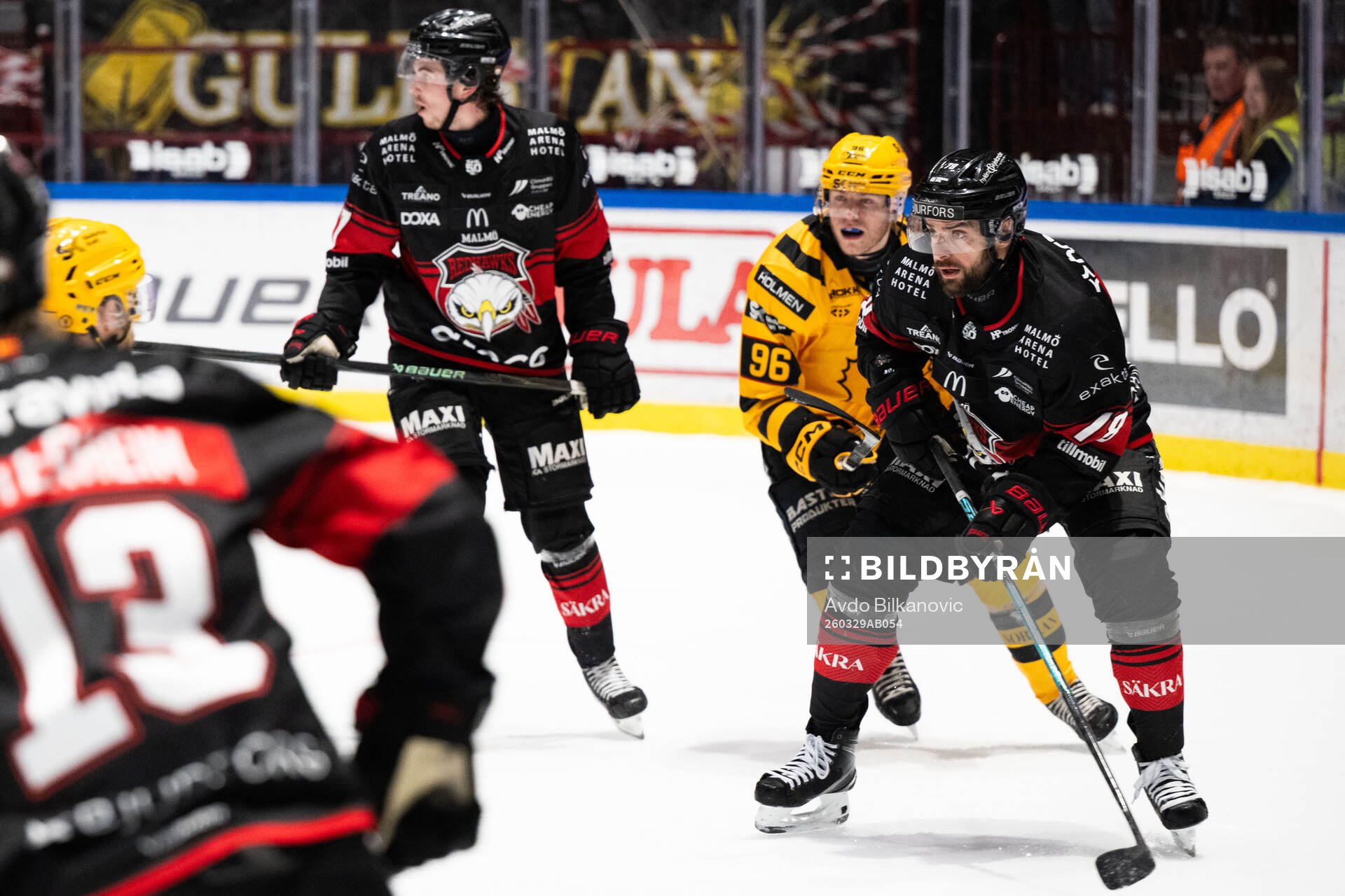 Malmö Redhawks Robin Hanzl