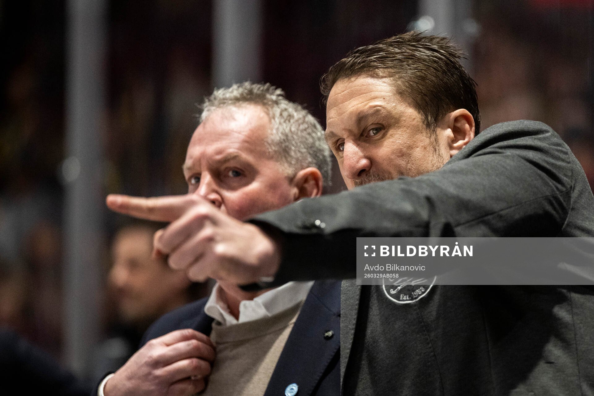 Malmö Redhawks huvudtränare Tomas Kollar