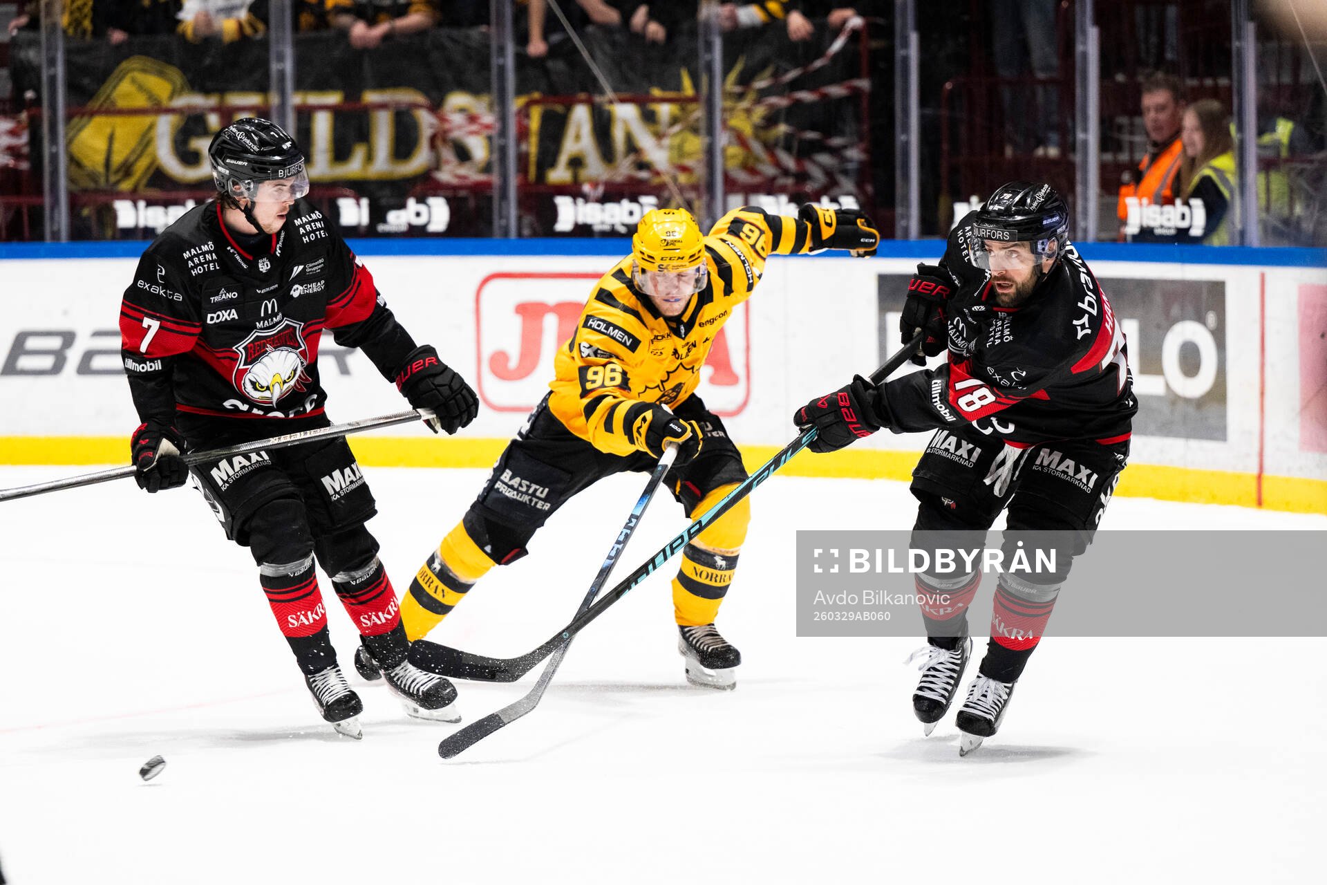 Malmö Redhawks Robin Hanzl