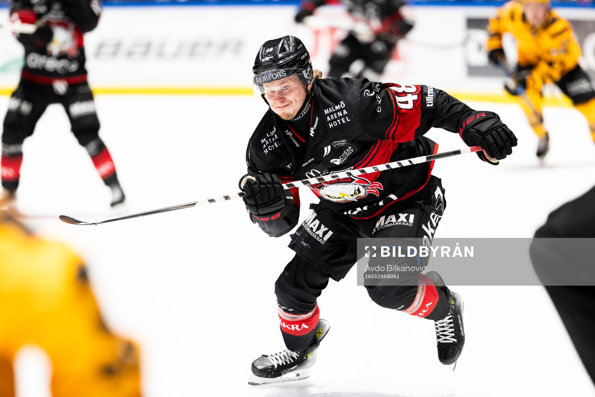 Malmö Redhawks Lauri Pajuniemi