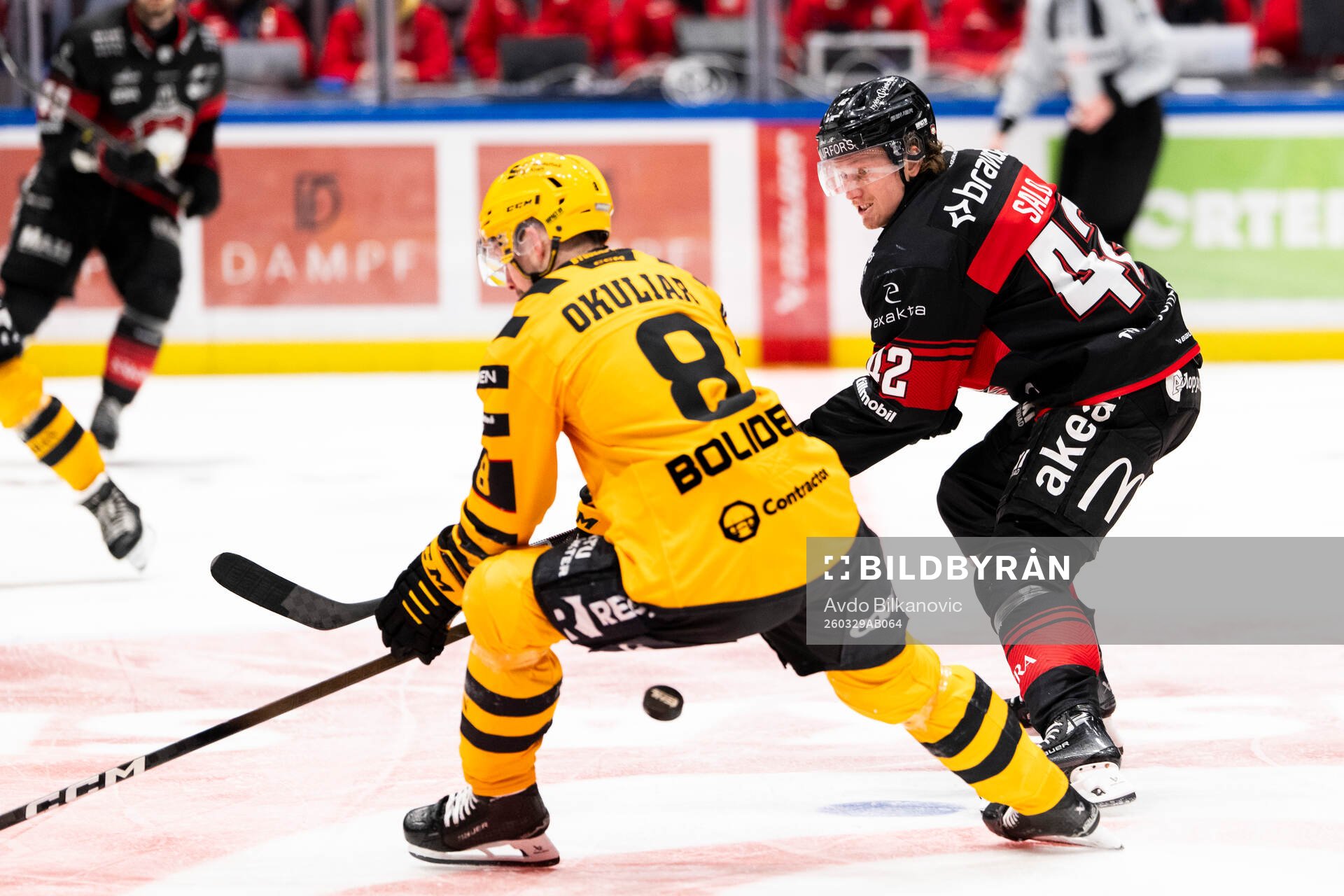 Malmö Redhawks Robin Salo