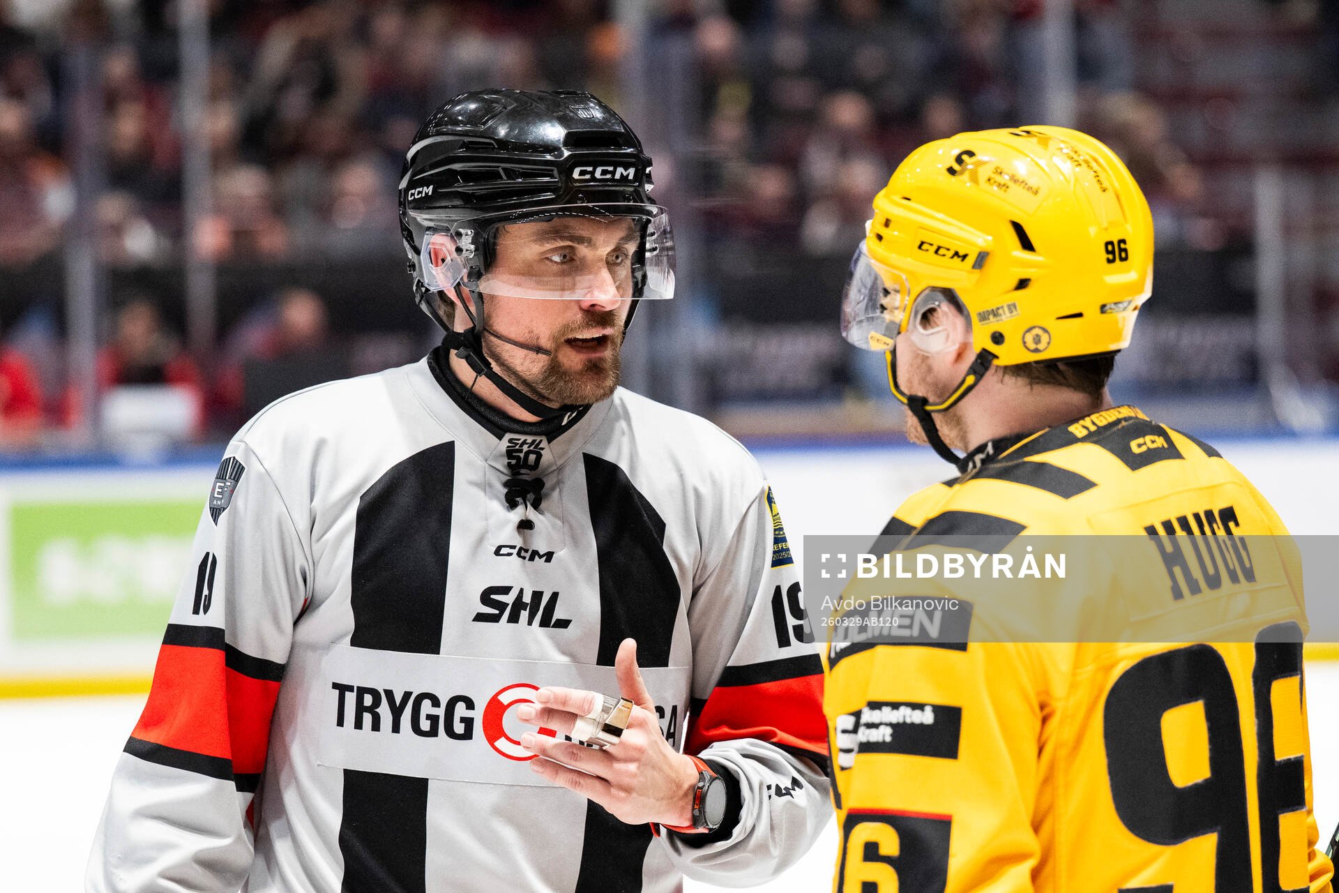 Domare David Laksola och Skellefteås Rickard Hugg