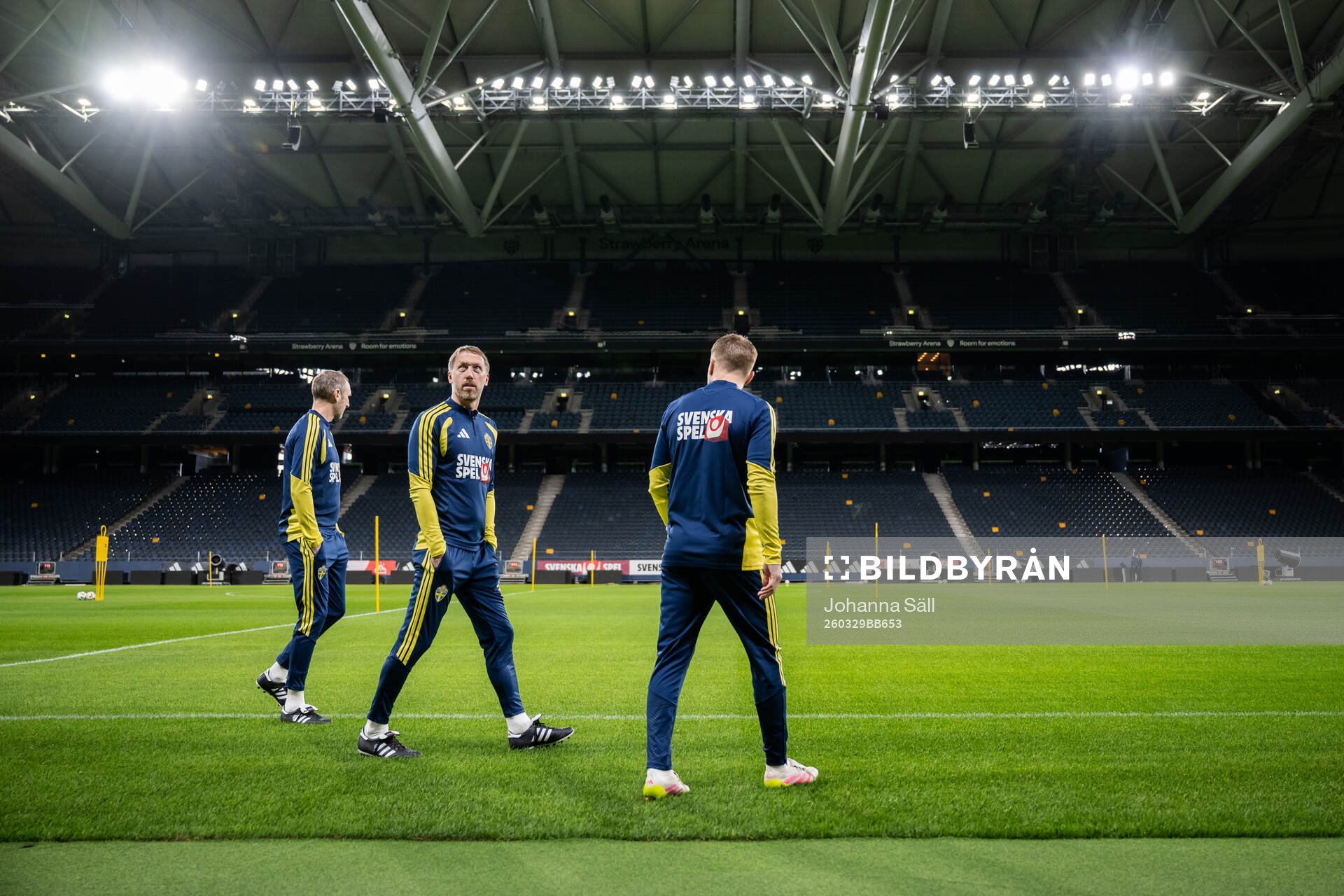 head coach Graham Potter of the Swedish national football
