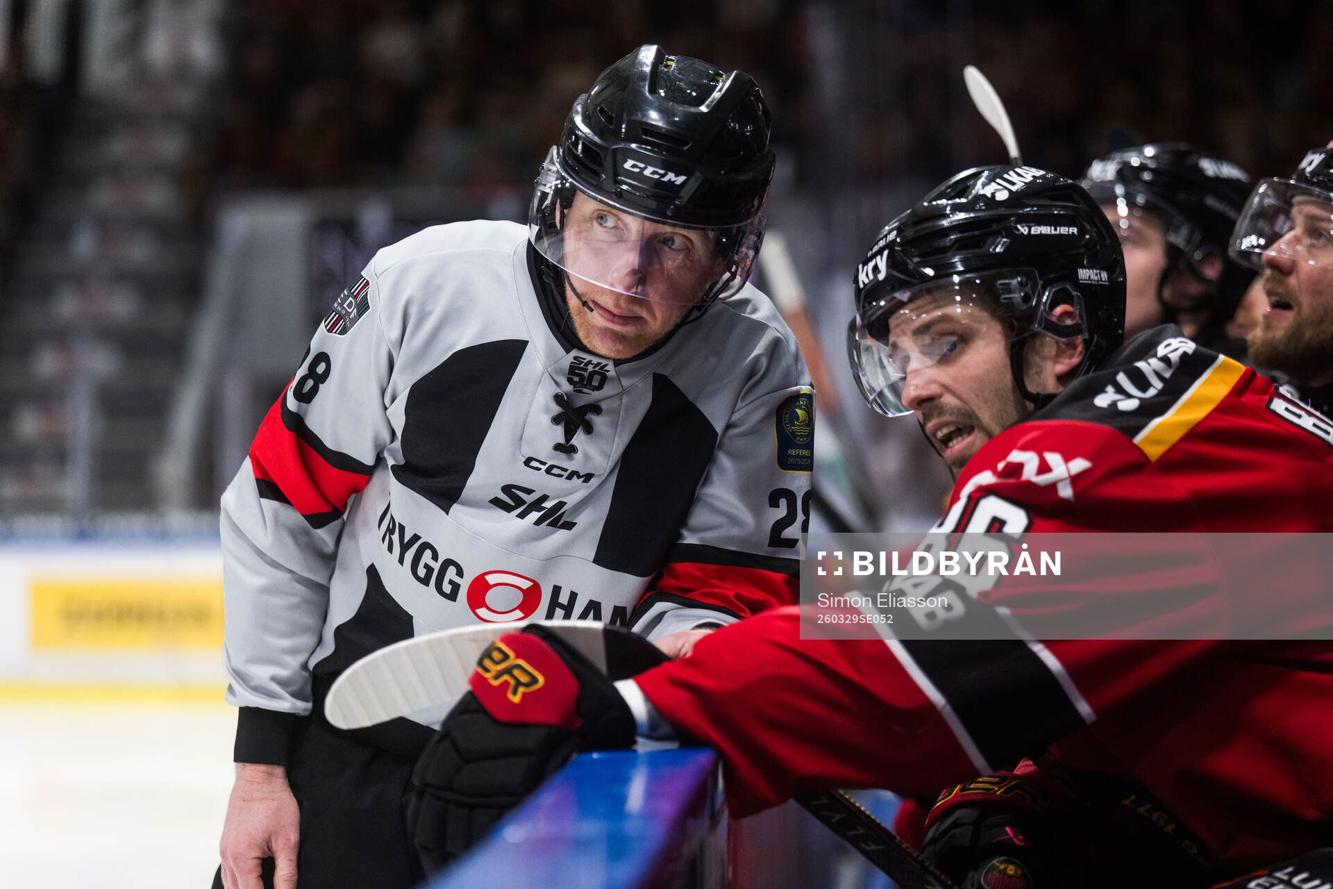 Domare Mikael Holm och Luleås Mathias Bromé