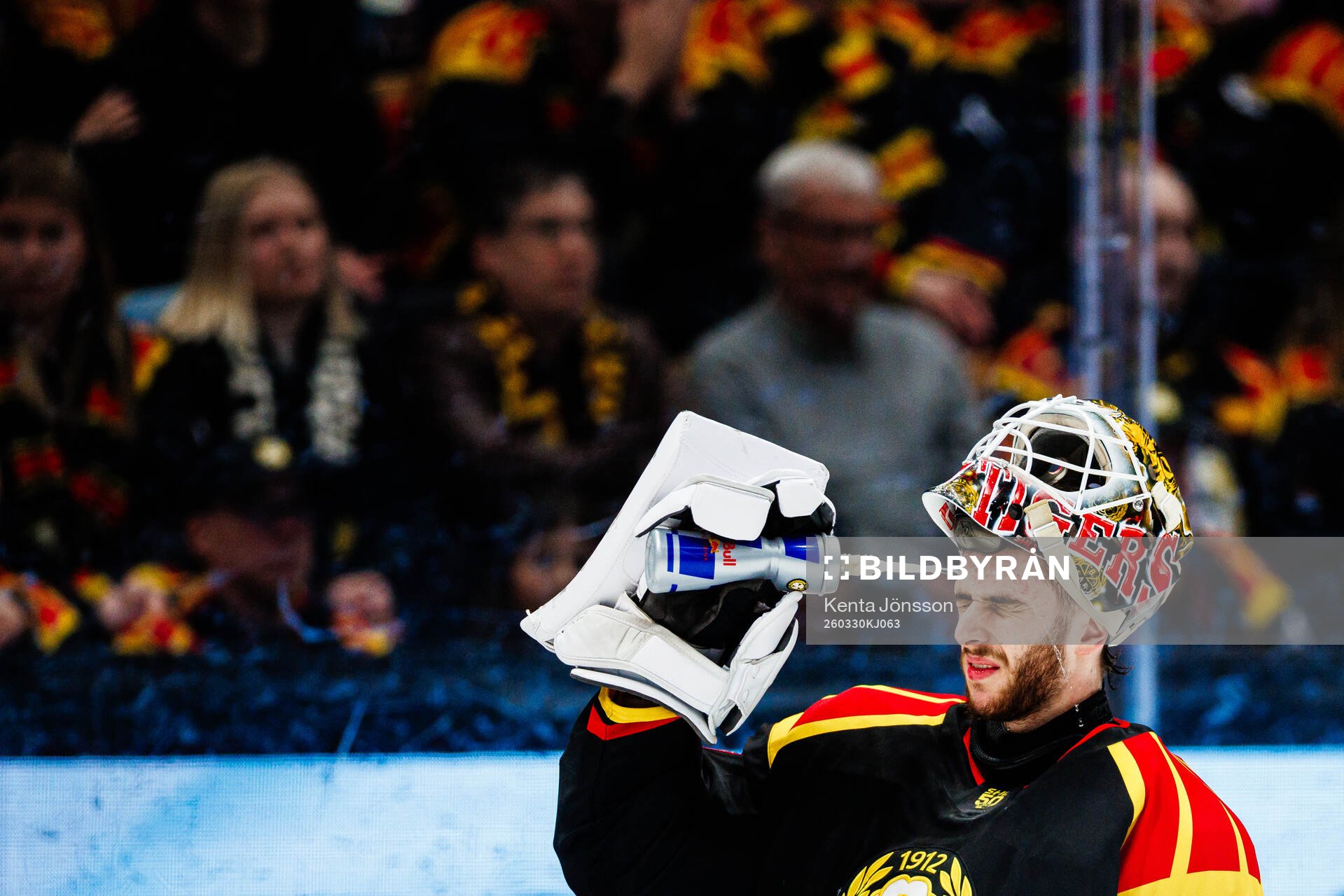 Brynäs målvakt Damian Clara