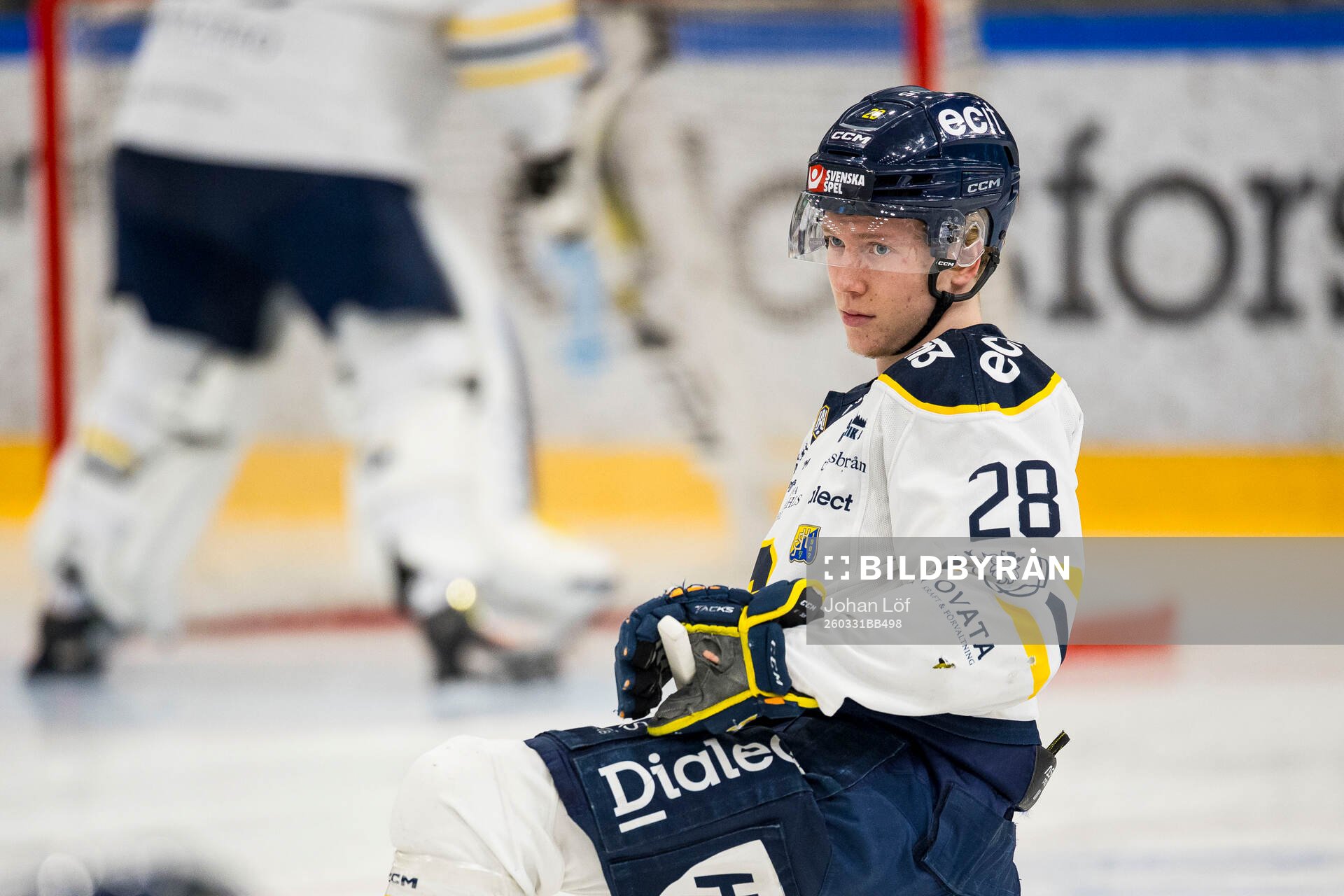 Södertäljes Adam Hesselvall