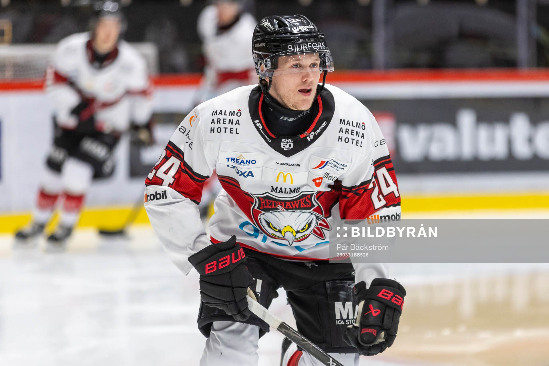 Malmö Redhawks Filip Björkman