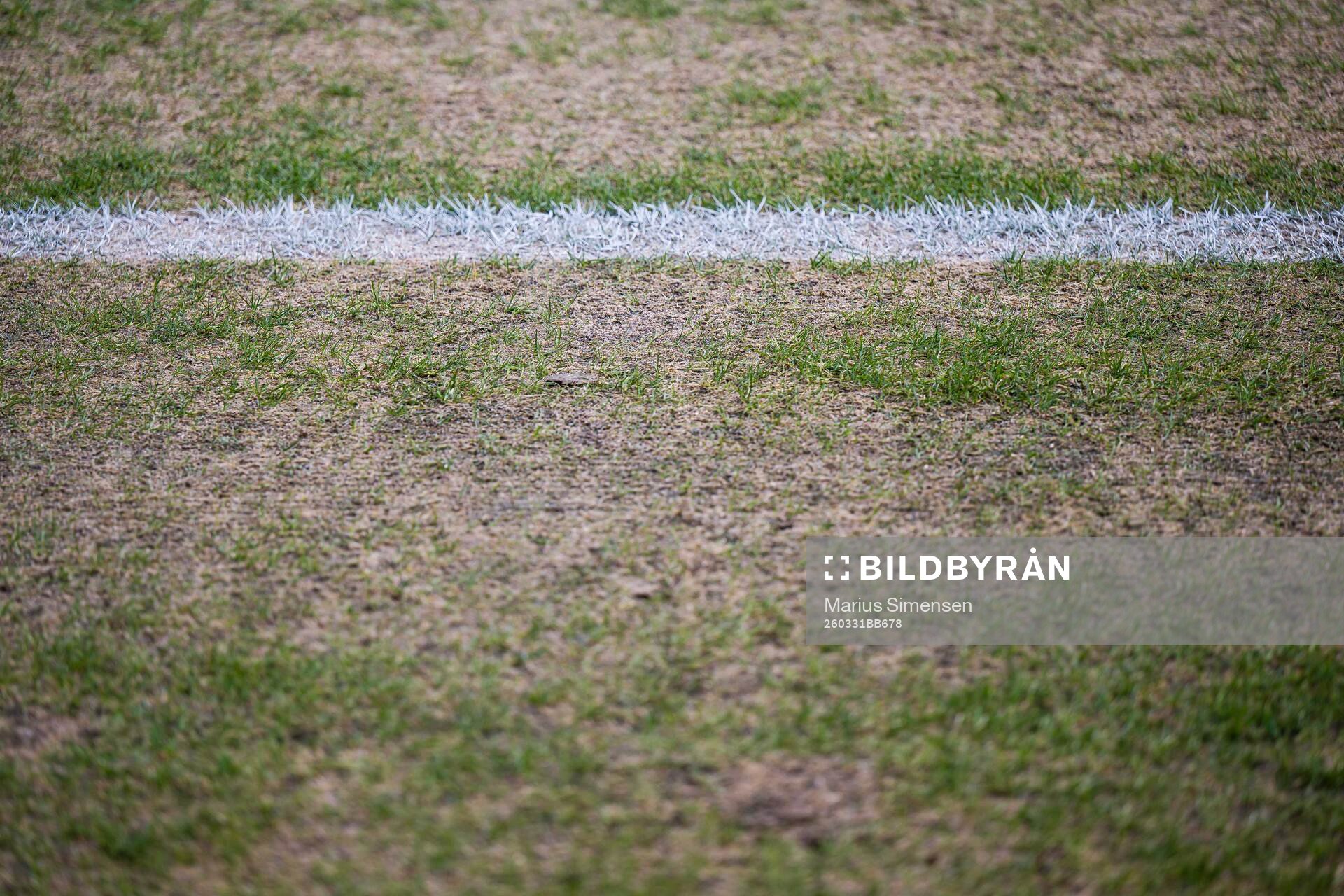 Quality of the grass at Ullevaal stadion