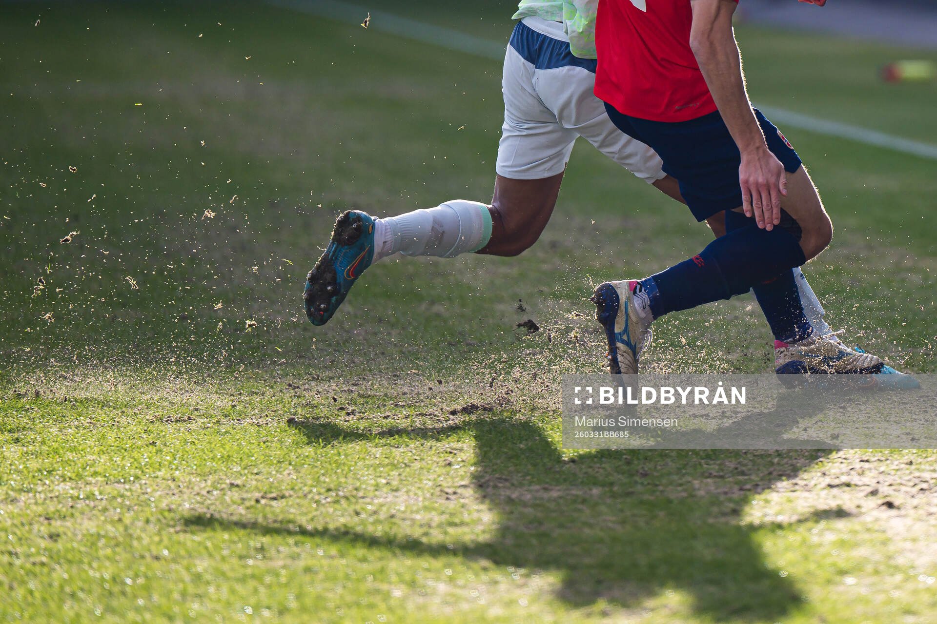 Quality of the grass at Ullevaal stadion