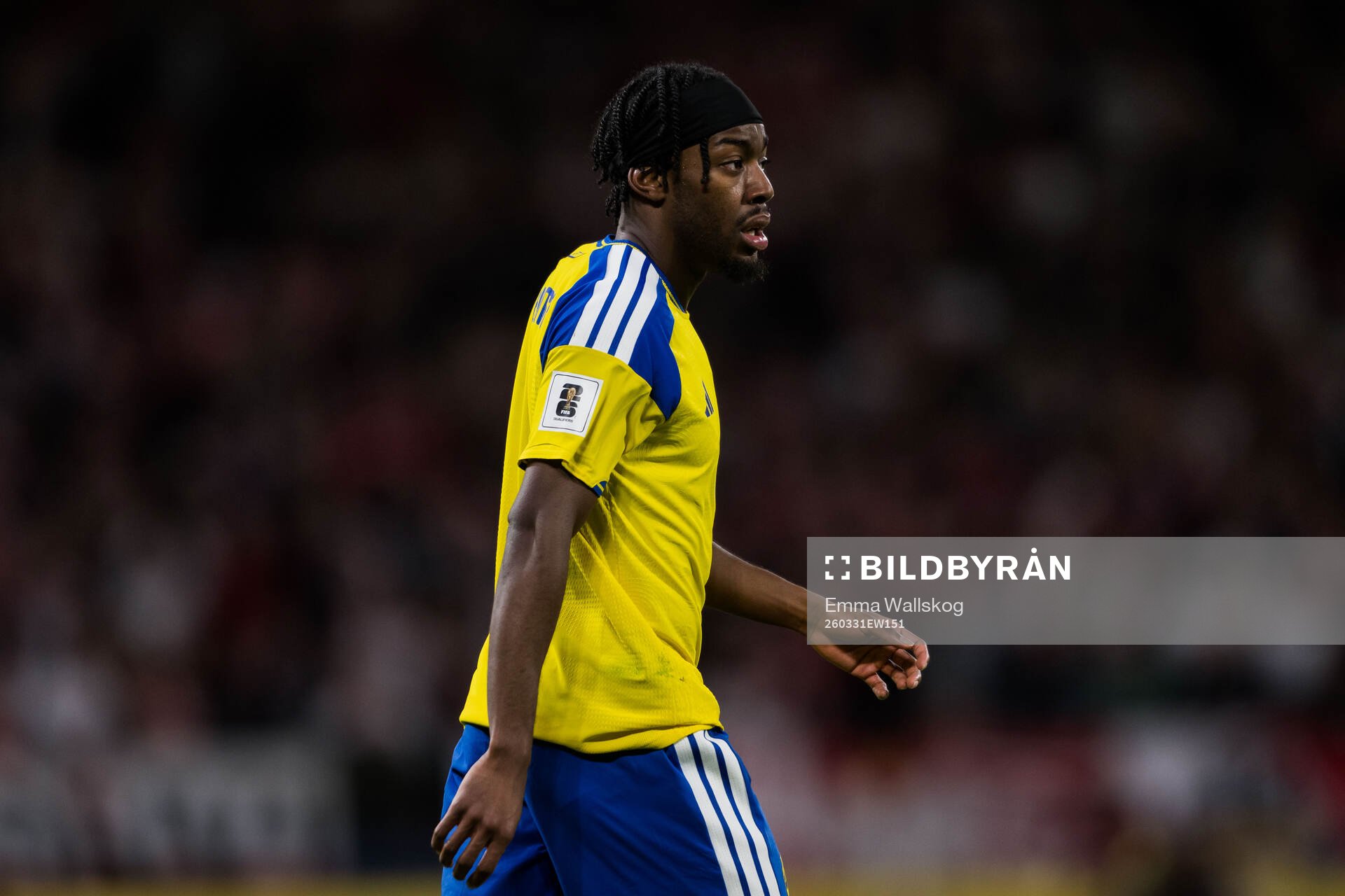 Anthony Elanga of Sweden