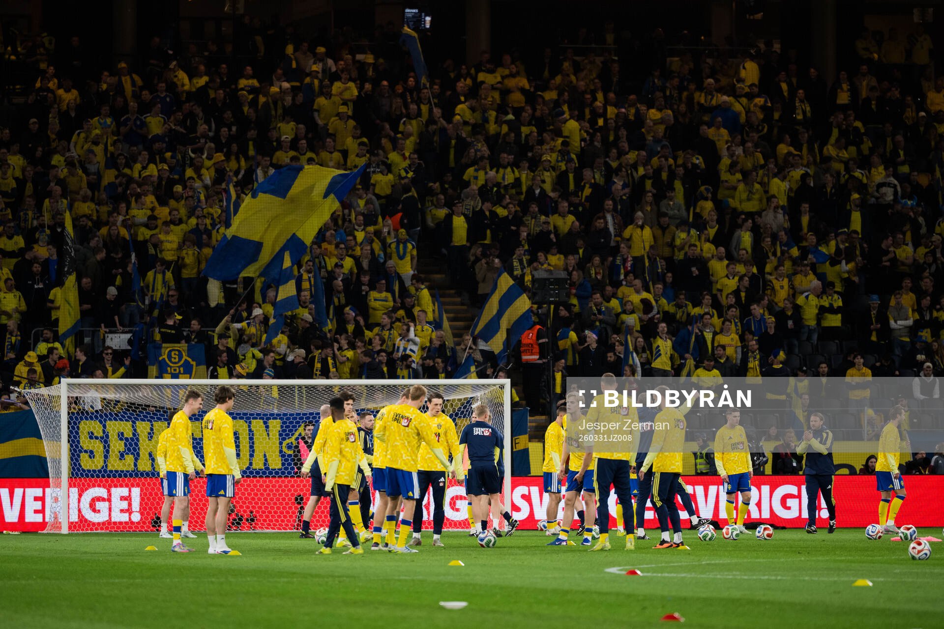 Players of Sweden