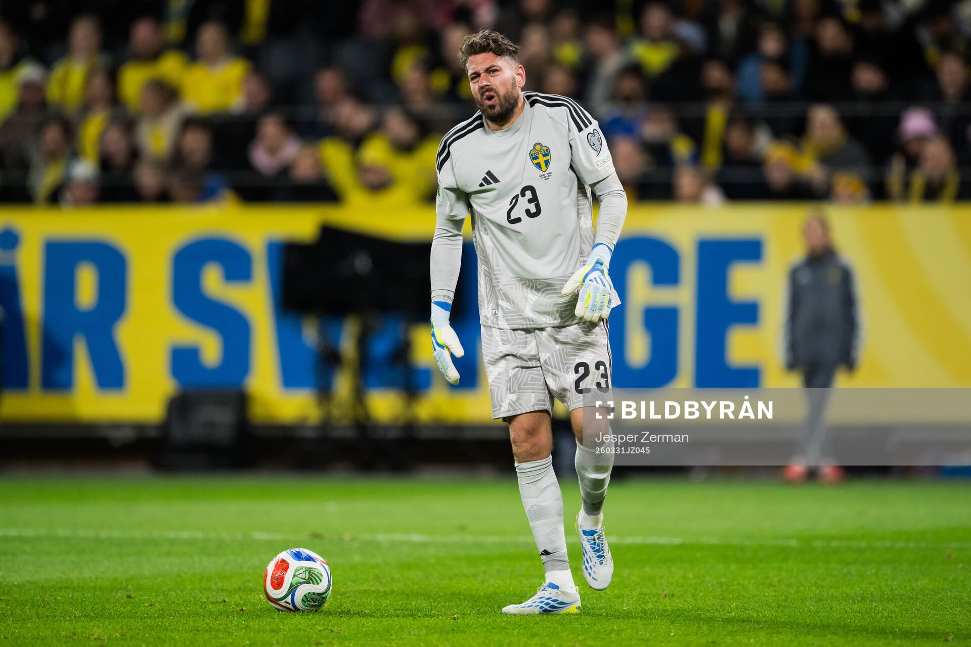 Goalkeeper Kristoffer Nordfeldt of Sweden