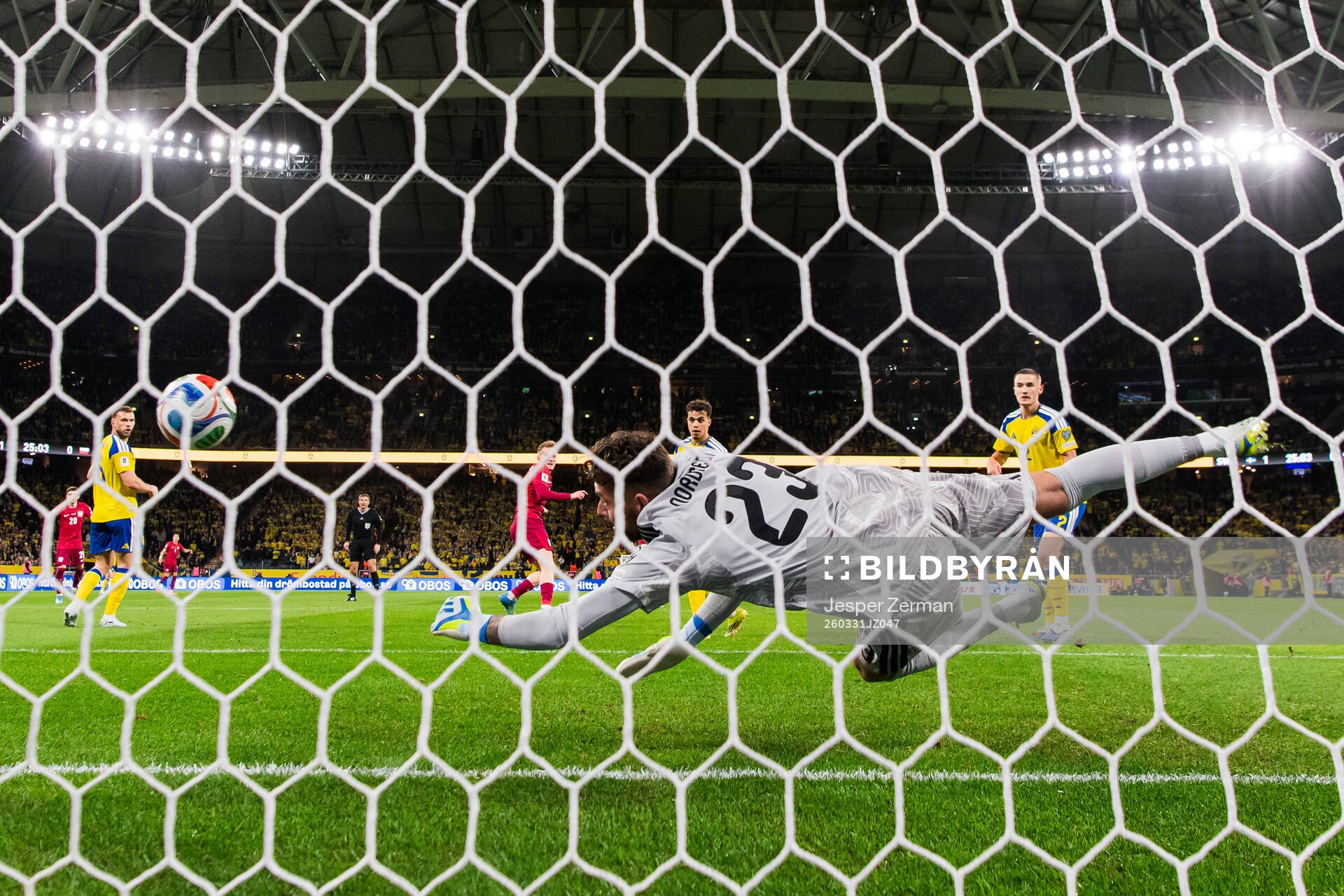 Goalkeeper Kristoffer Nordfeldt of Sweden
