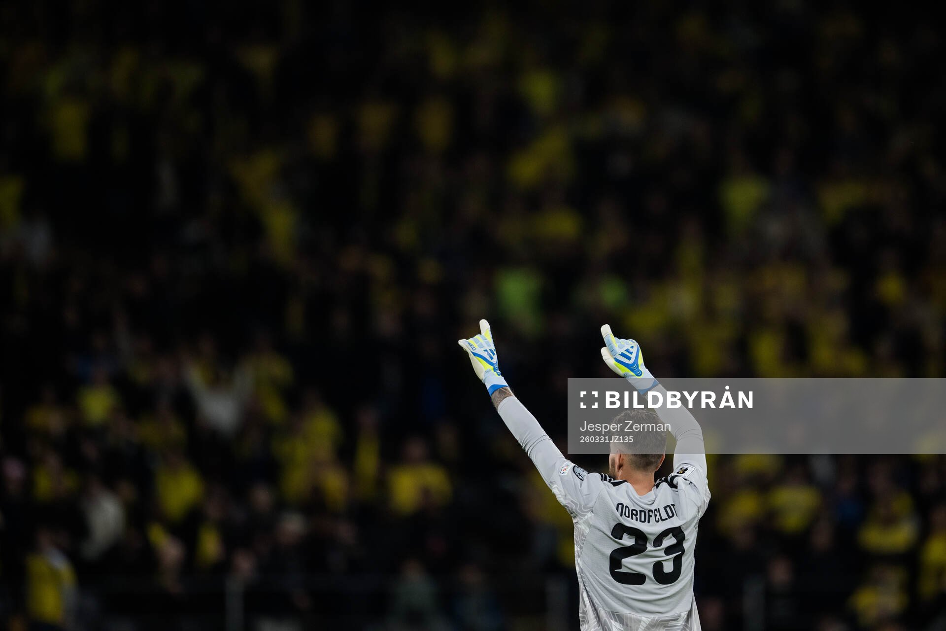 goalkeeper Kristoffer Nordfeldt of Sweden