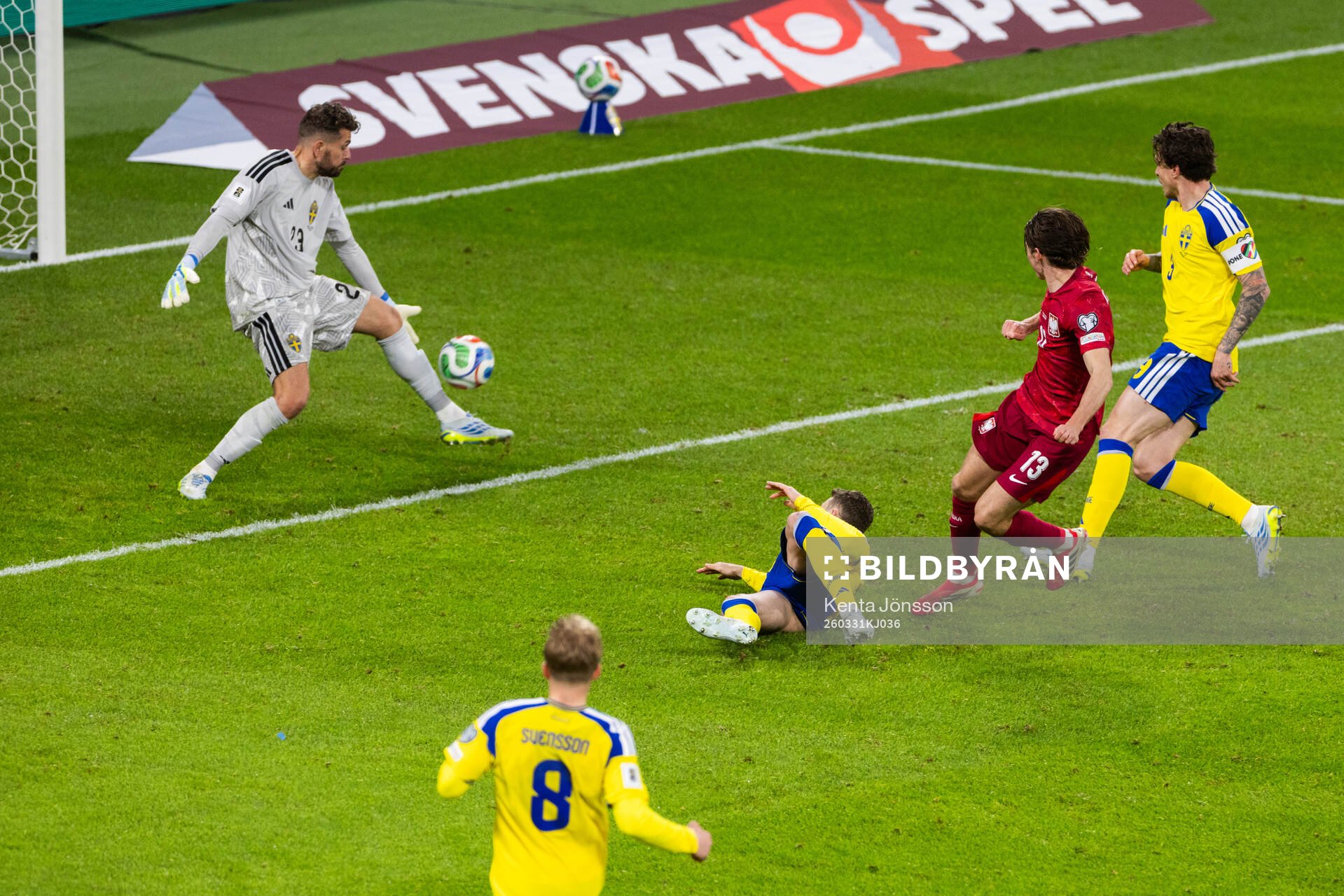 Goalkeeper Kristoffer Nordfeldt of Sweden