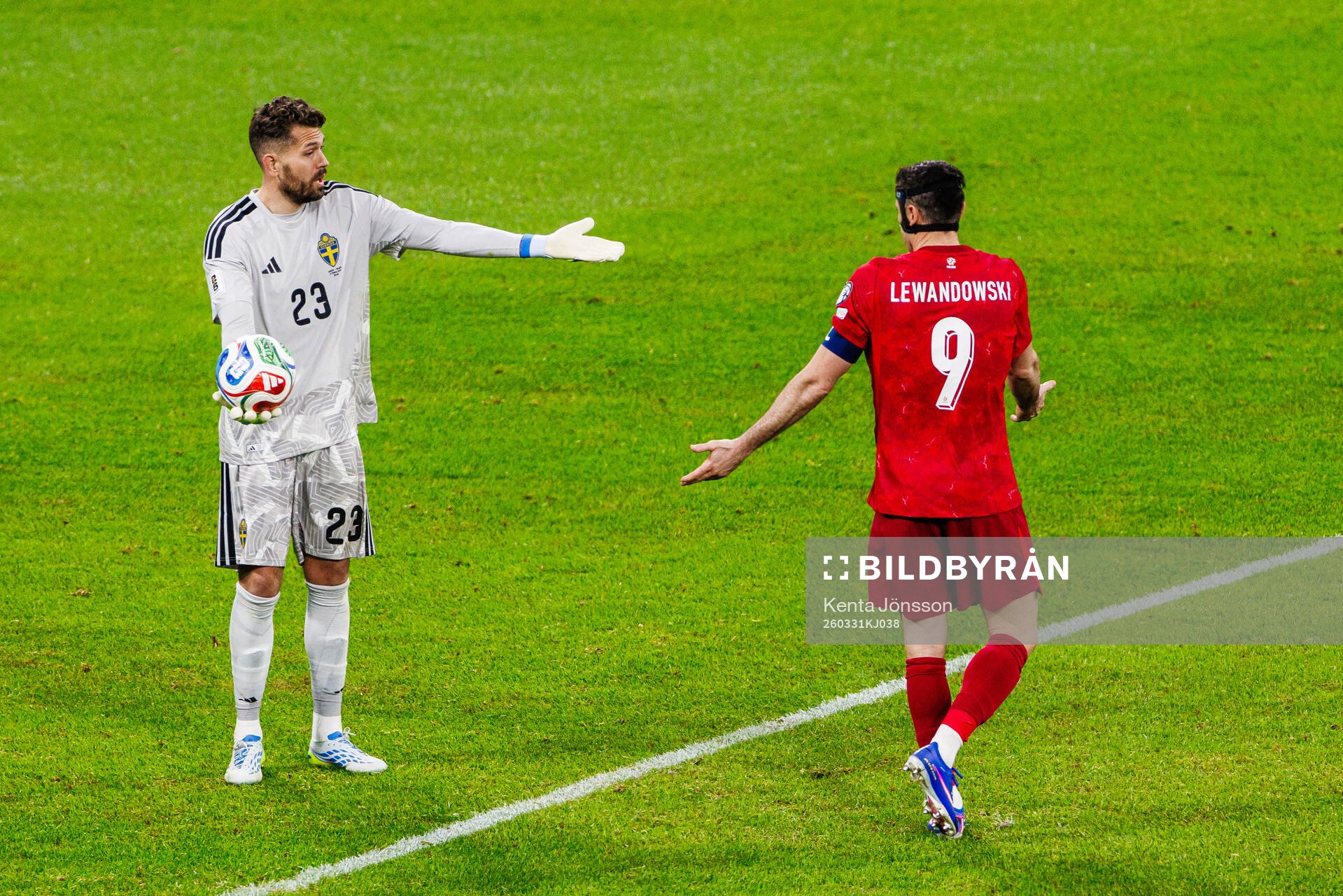 Goalkeeper Kristoffer Nordfeldt of Sweden and Robert