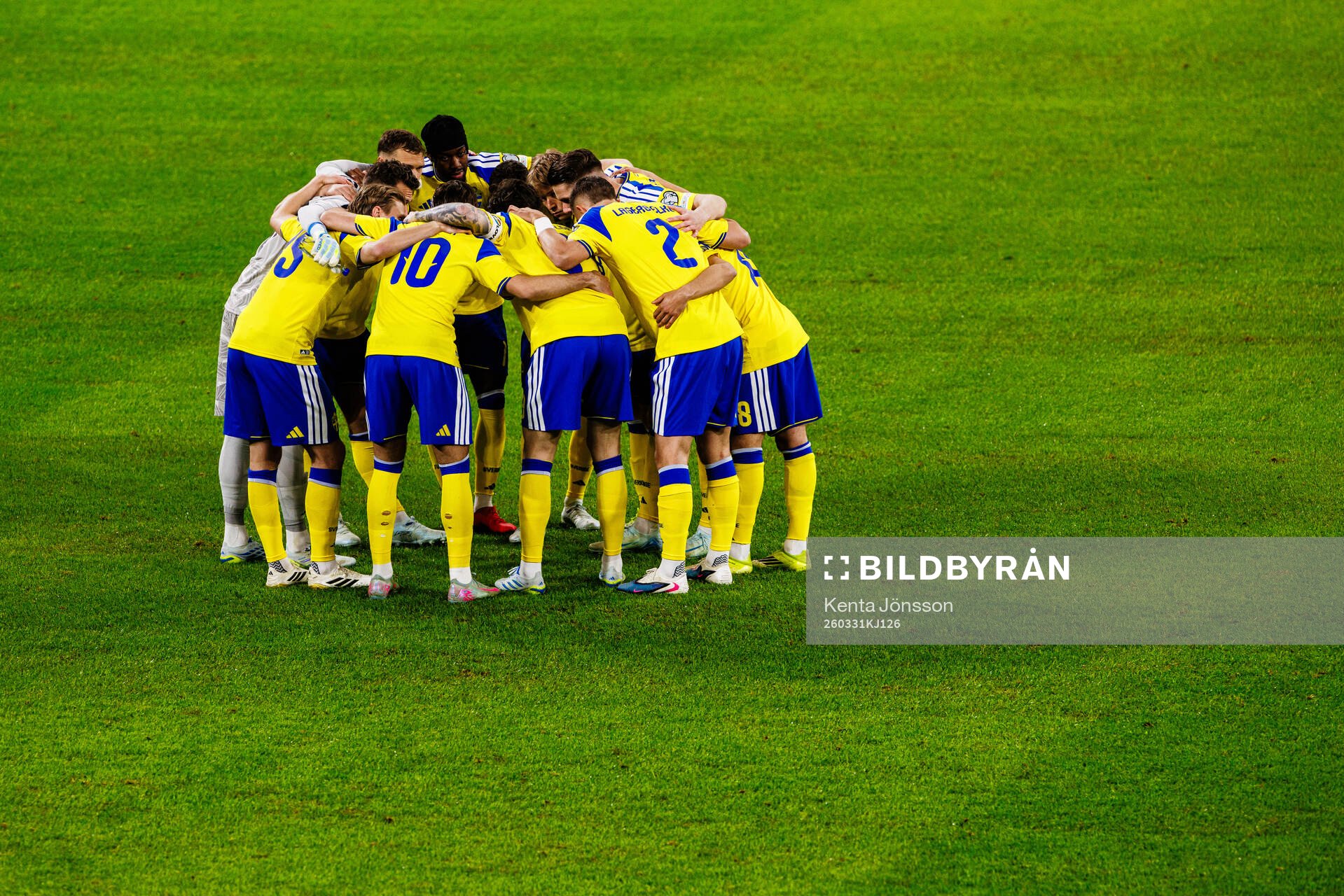 Players of Sweden