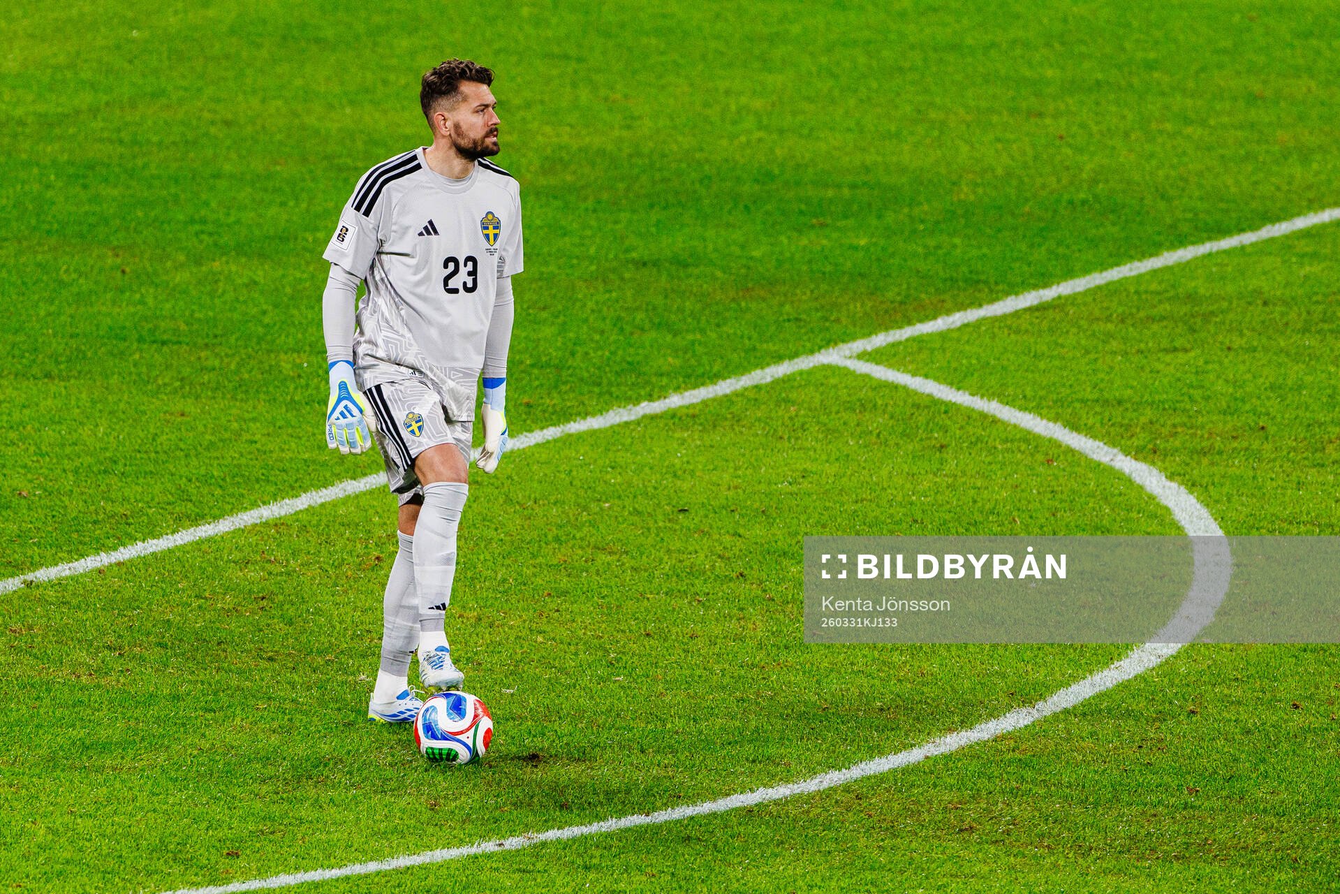 goalkeeper Kristoffer Nordfeldt of Sweden