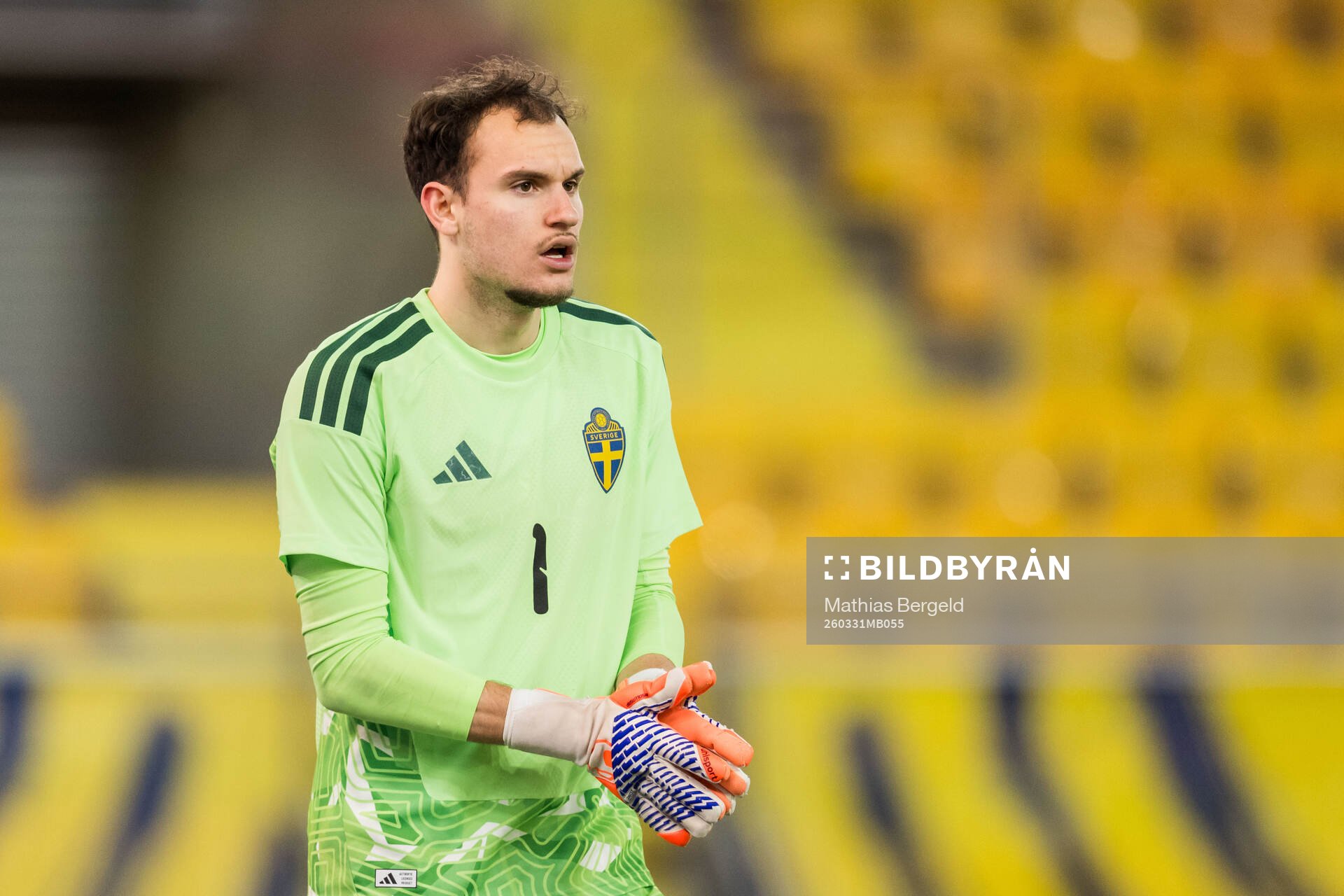 Goalkeeper Elis Bishesari of Sweden