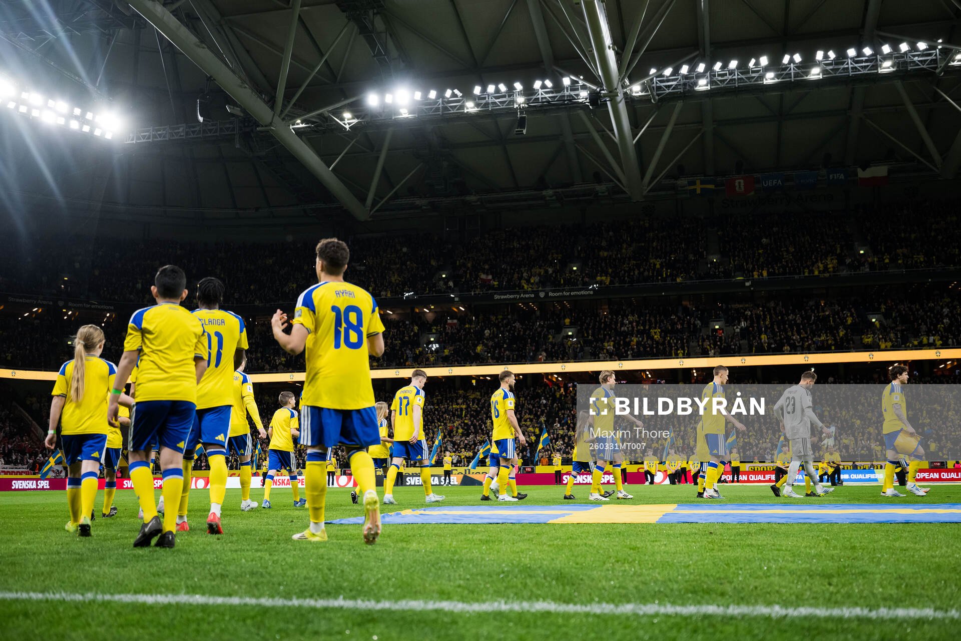 Players of Sweden