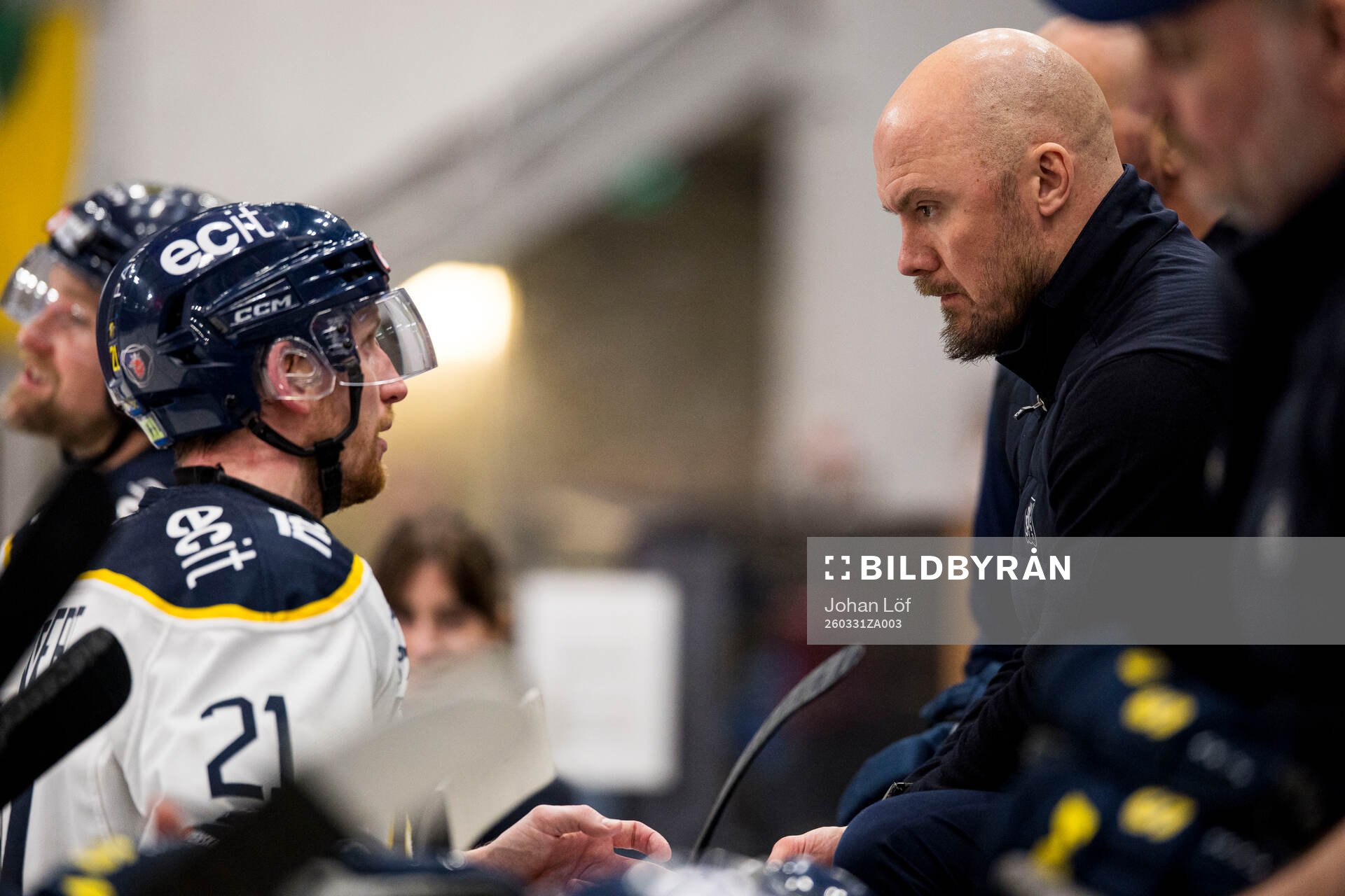 Södertäljes assisterande tränare Nicklas Grossmann