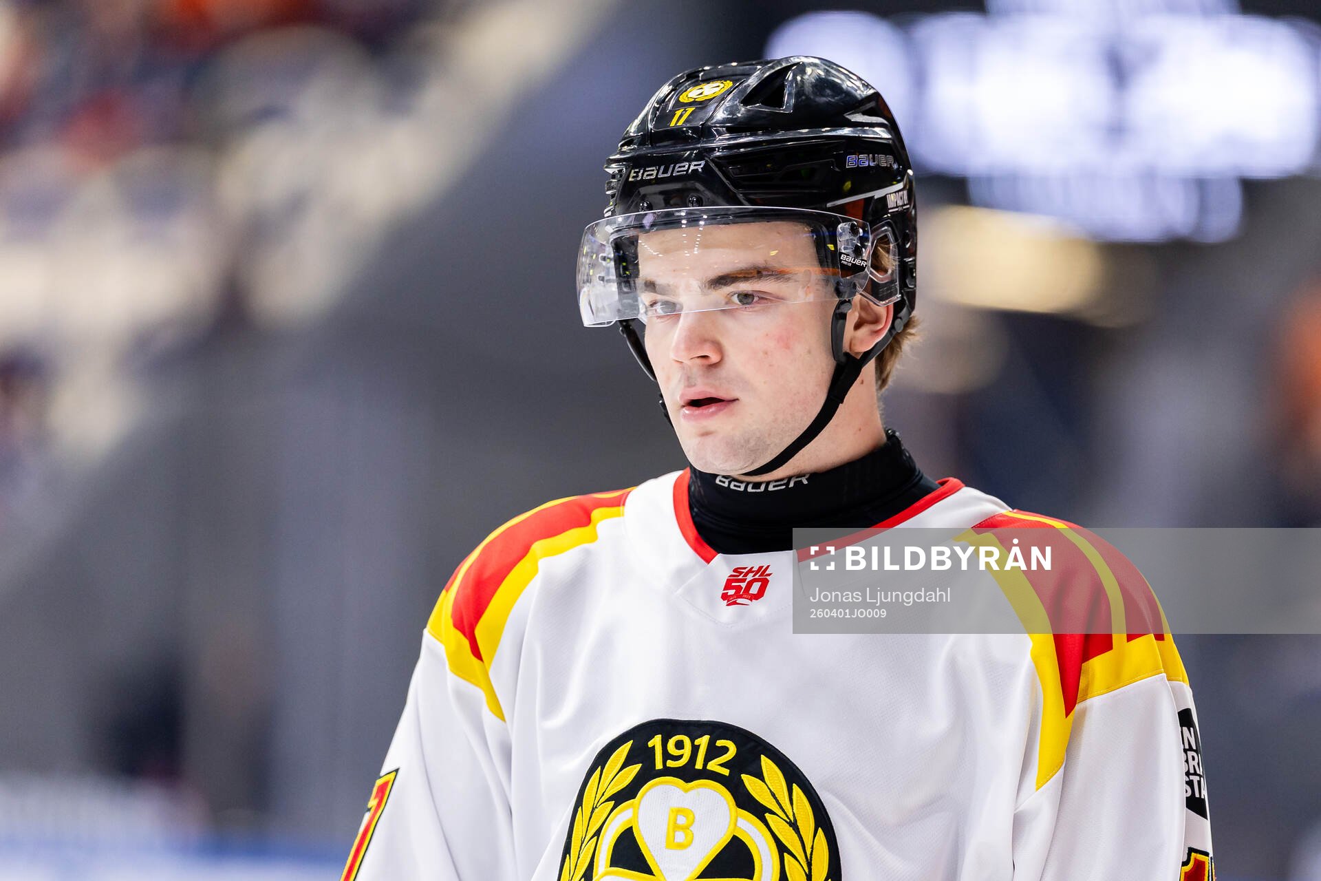 Brynäs Michal Svrcek