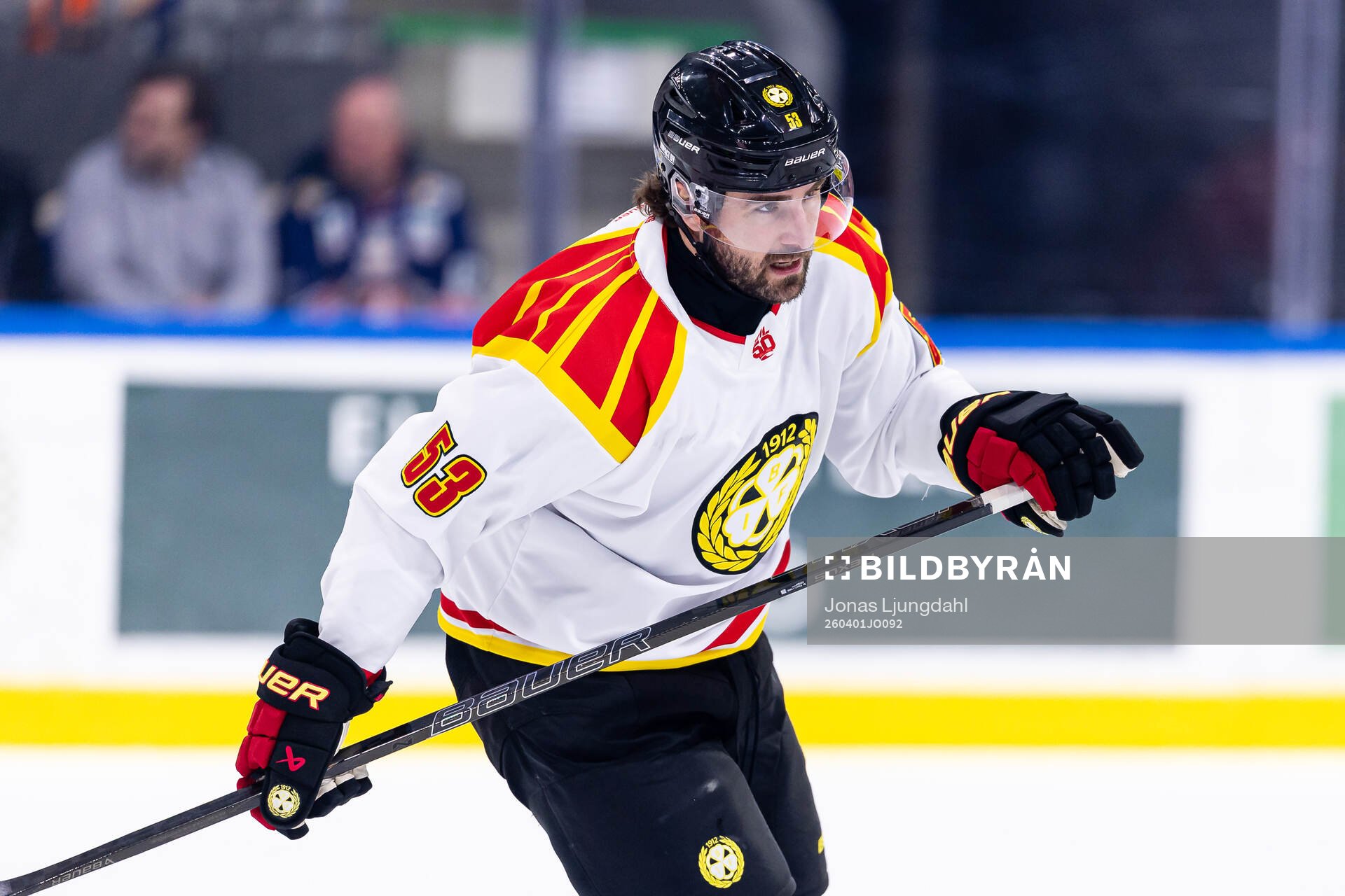 Brynäs Luke Witkowski