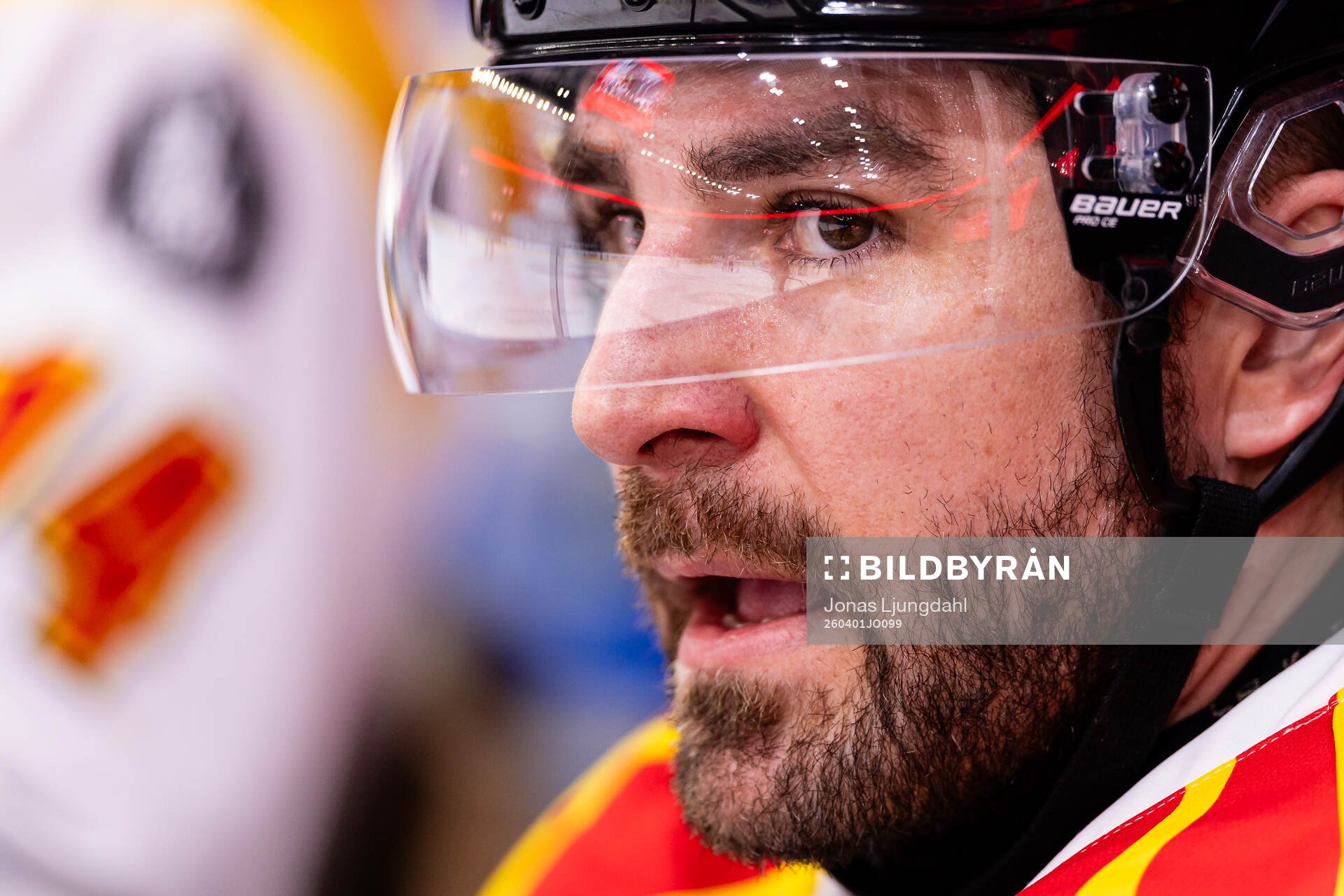 Brynäs Luke Witkowski