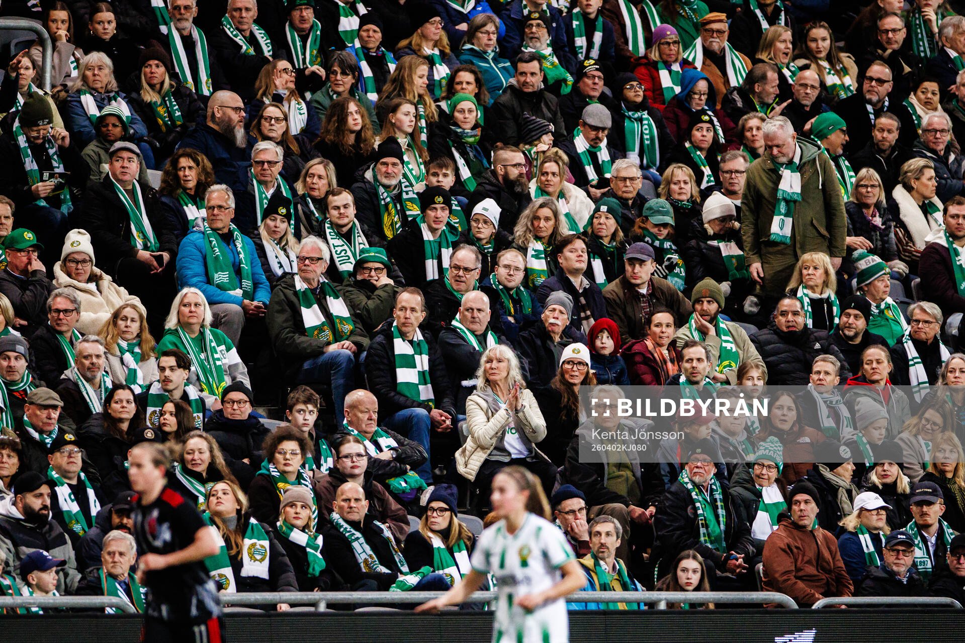 Supporters of Hammarby