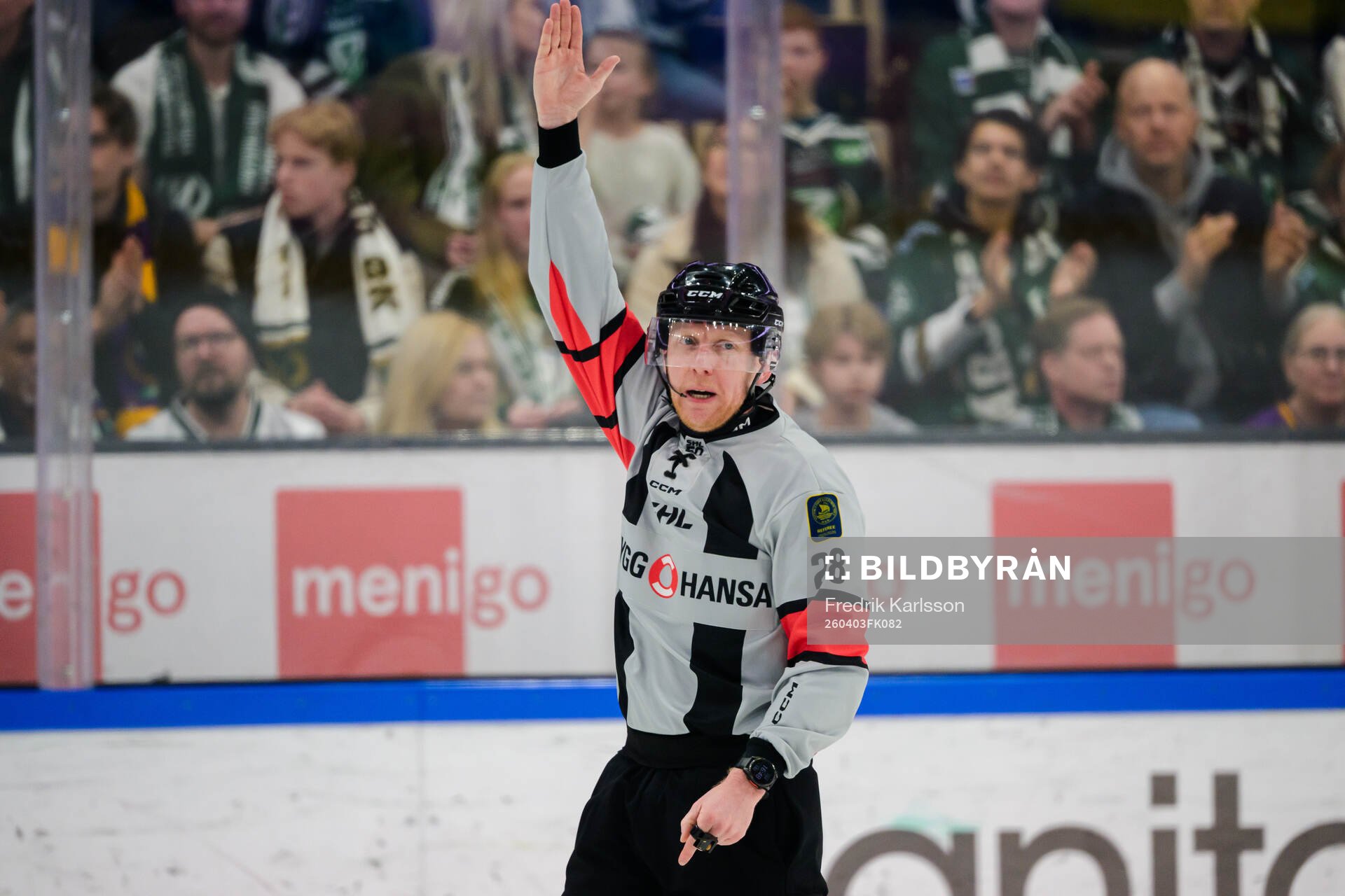 domare Mikael Holm