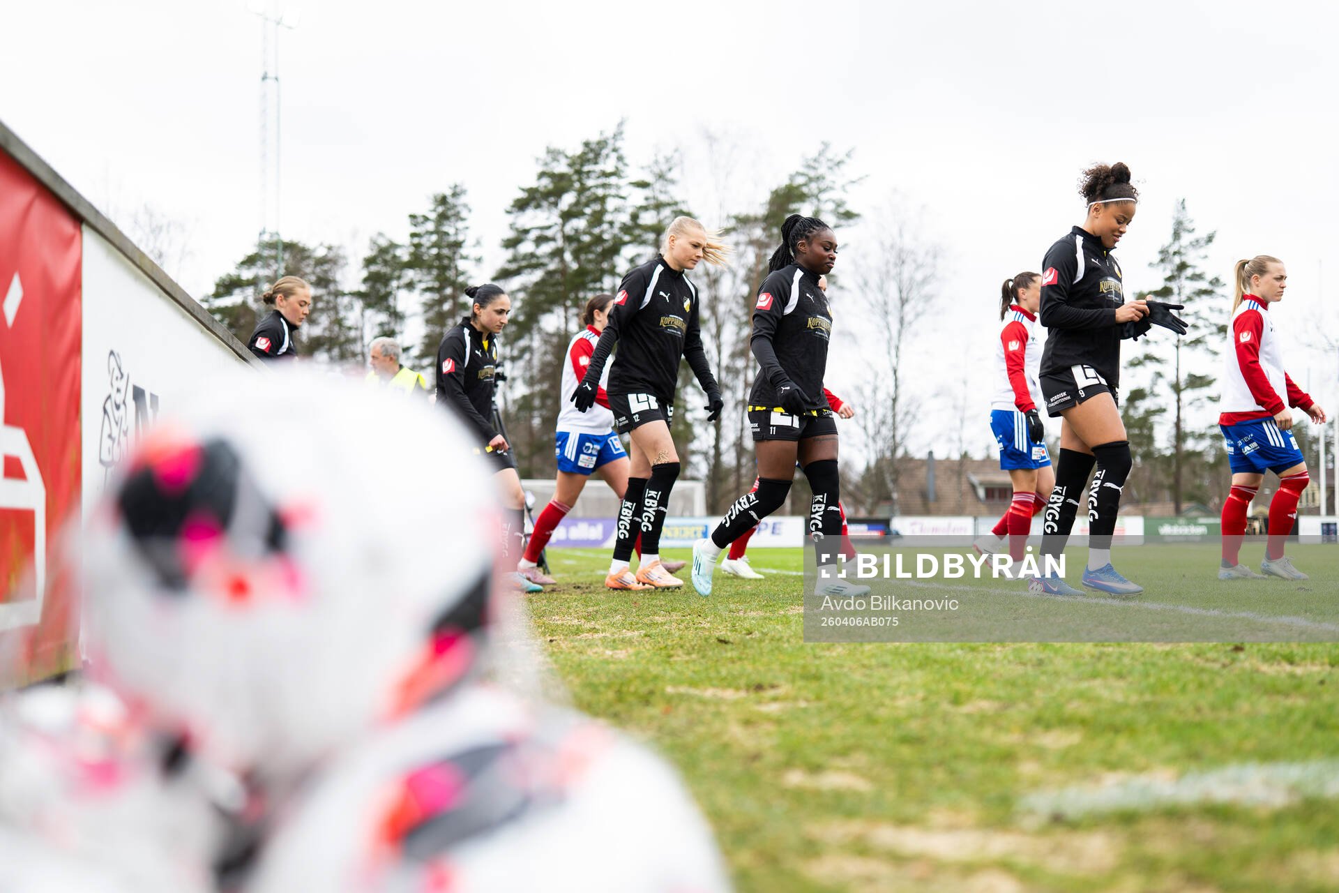 Häckens spelare gör entré