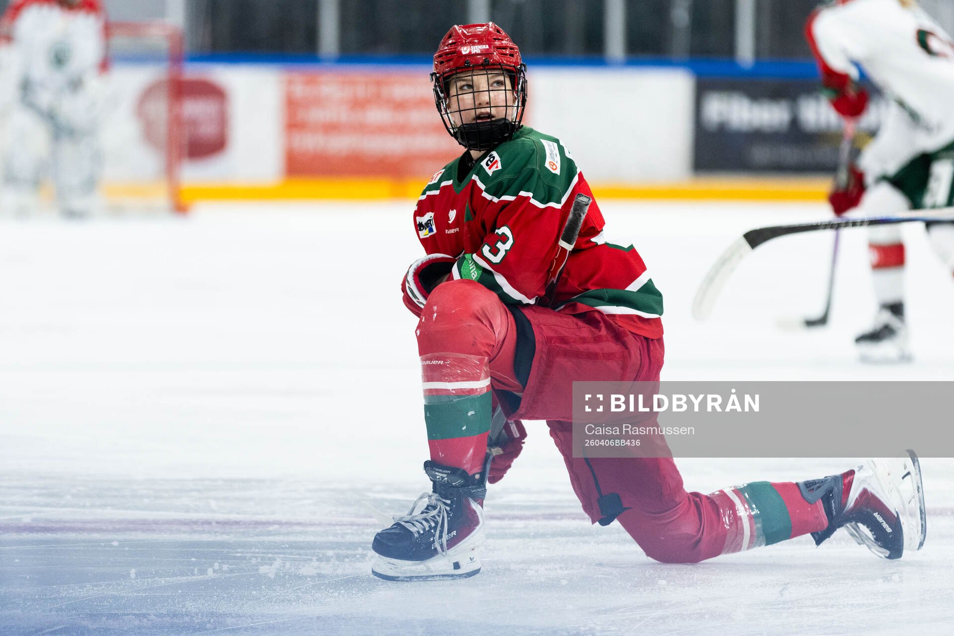Modos Ebba Hedqvist