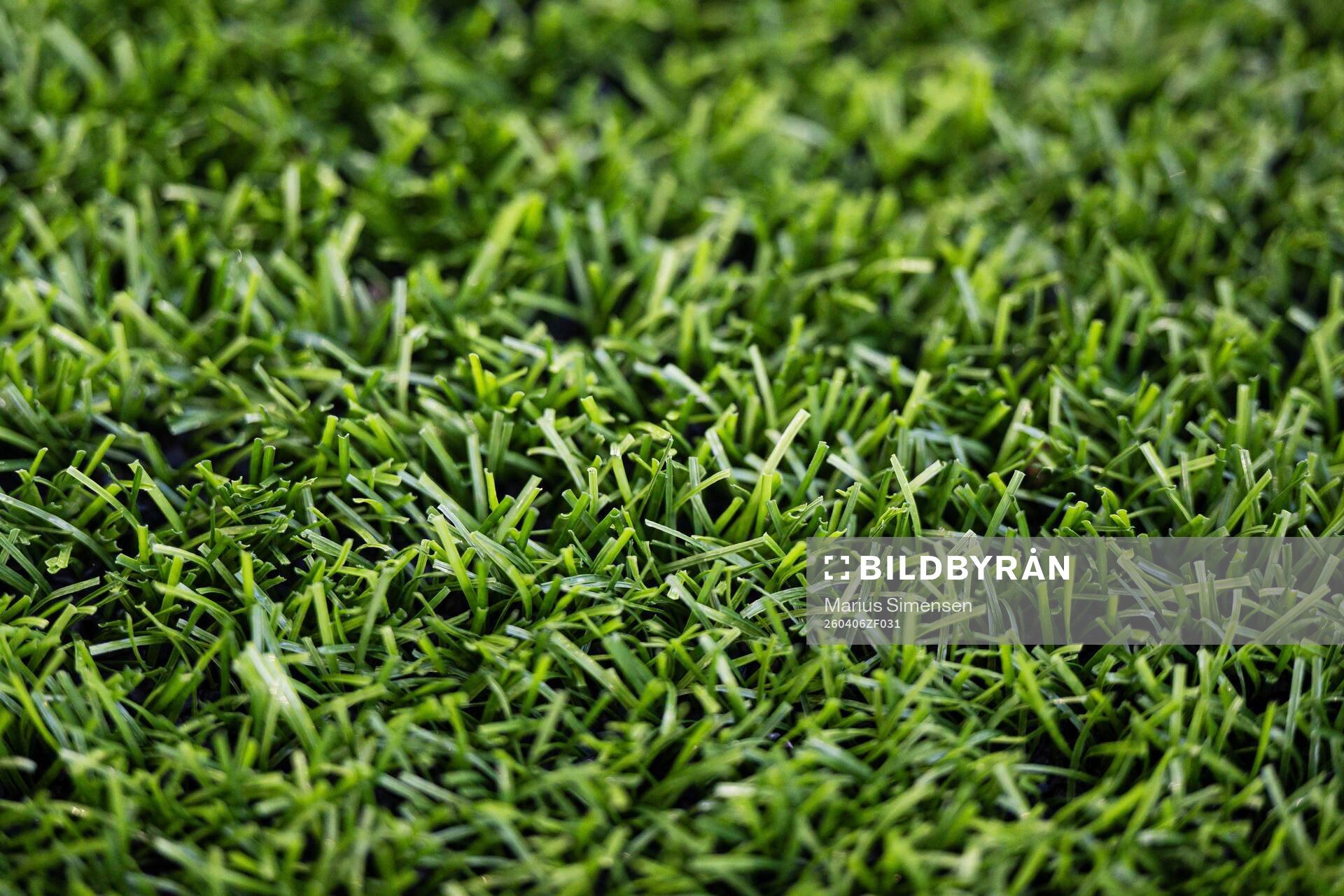 Quality of the grass at Briskeby Stadion