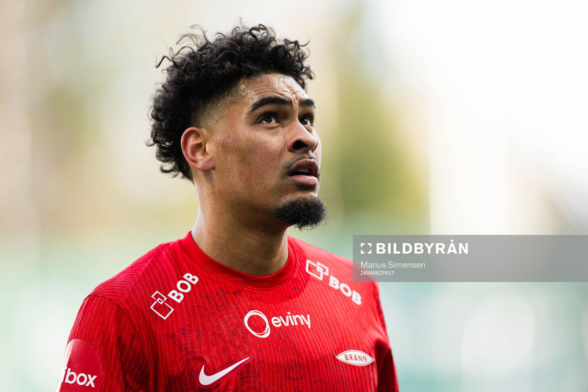 Noah Jean Holm of Brann
