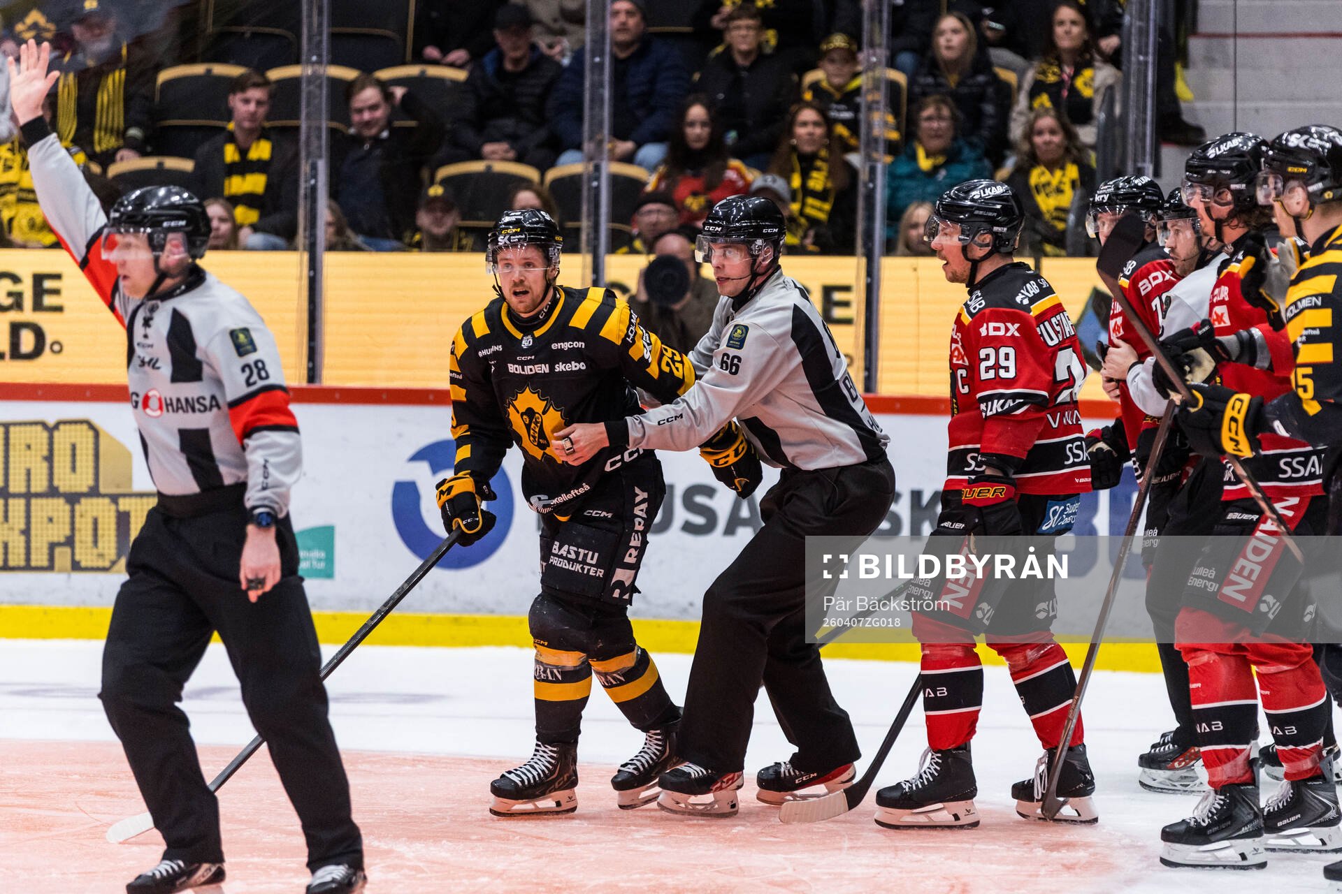 Skellefteås Mikkel Aagaard och Luleås Erik Gustafsson