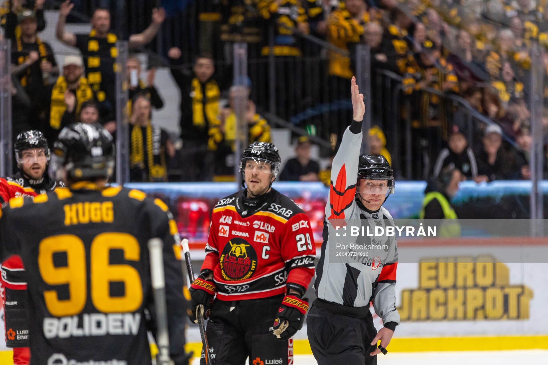 Domare Mikael Holm