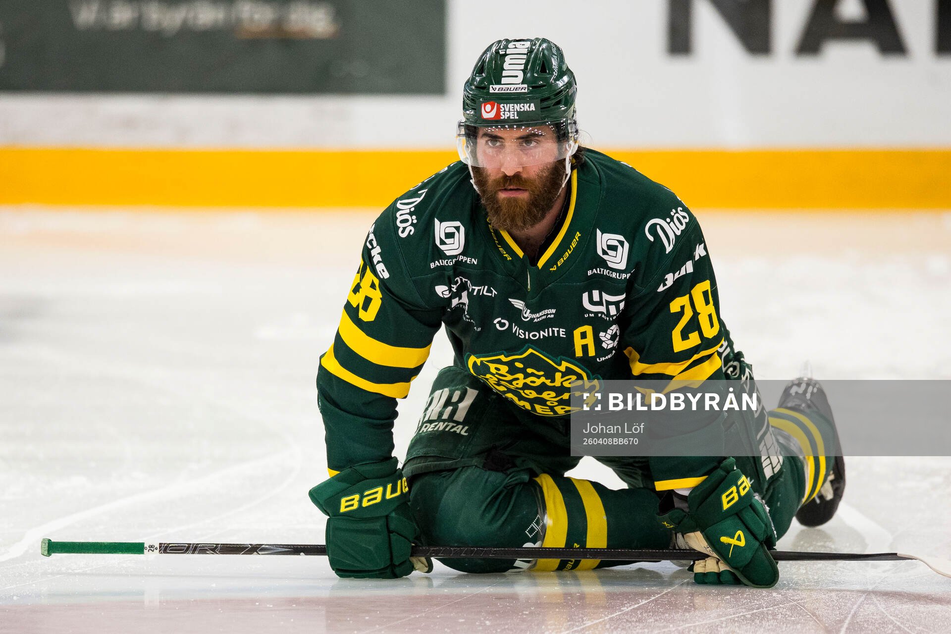 Björklövens Mathew Maione