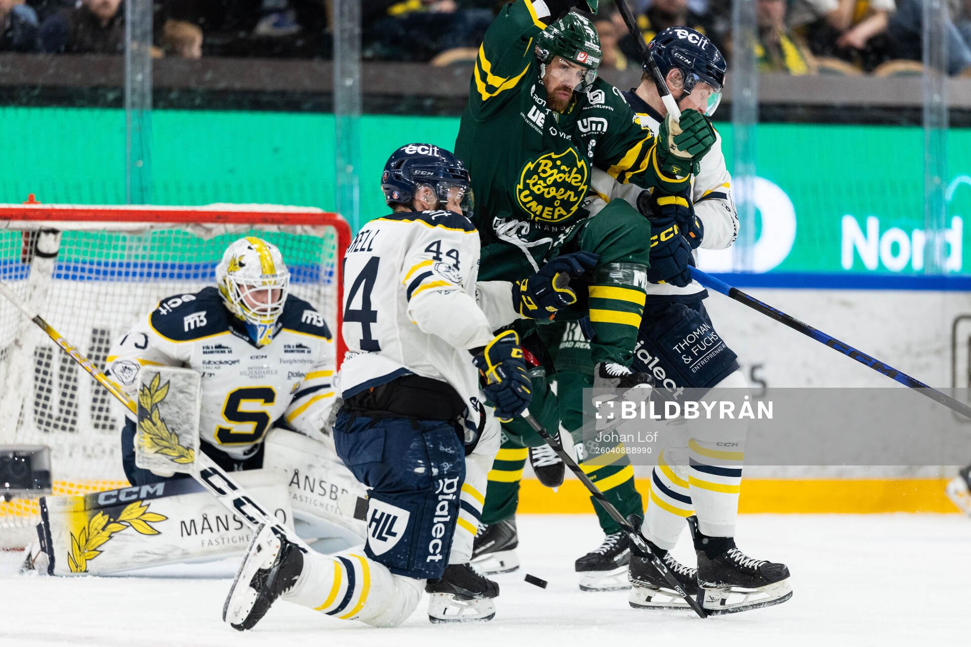 Södertäljes Niklas Arell och Björklövens Daniel Brodin