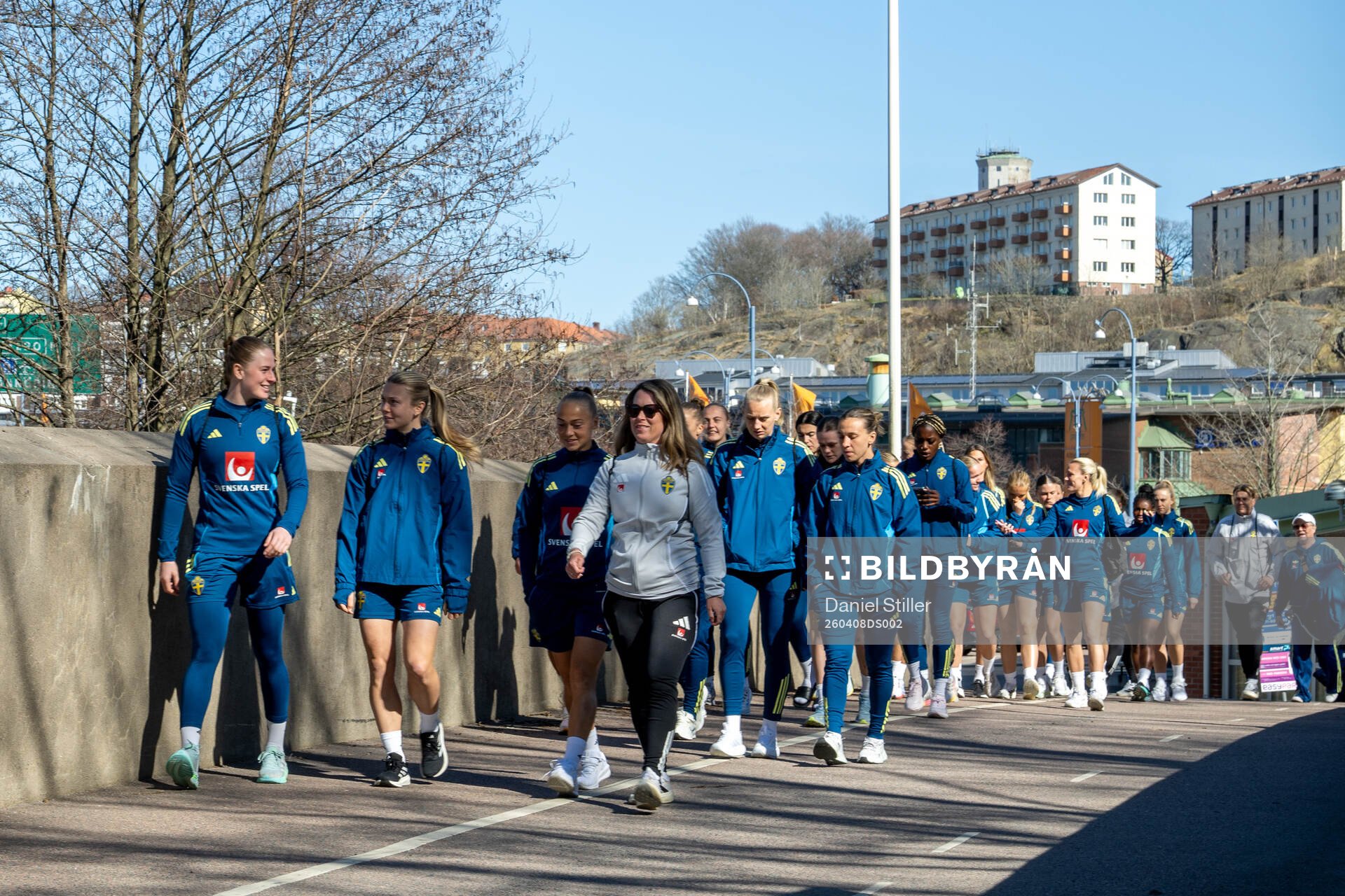 The team of Sweden