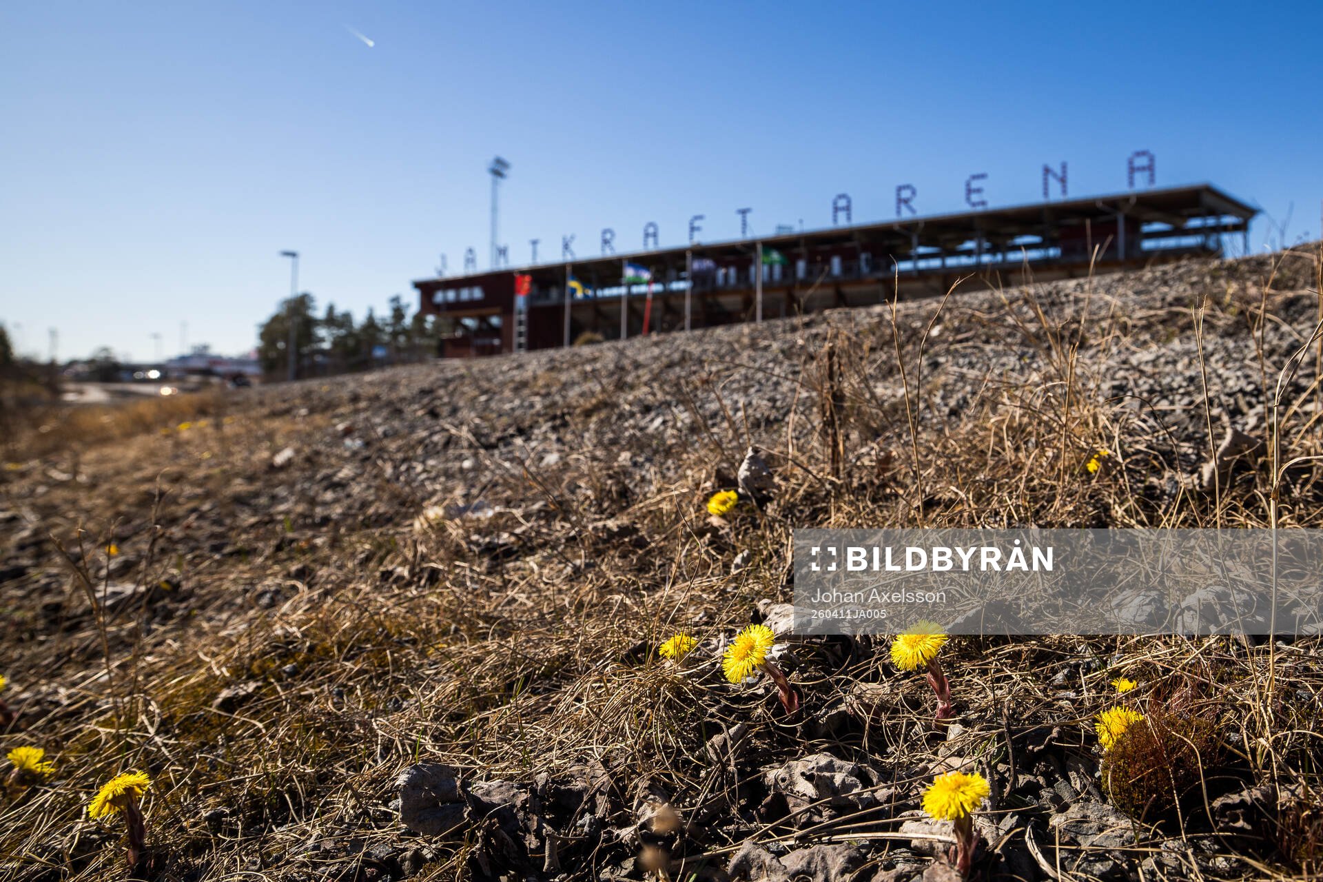 Tussilago framför Jämtkraft Arena