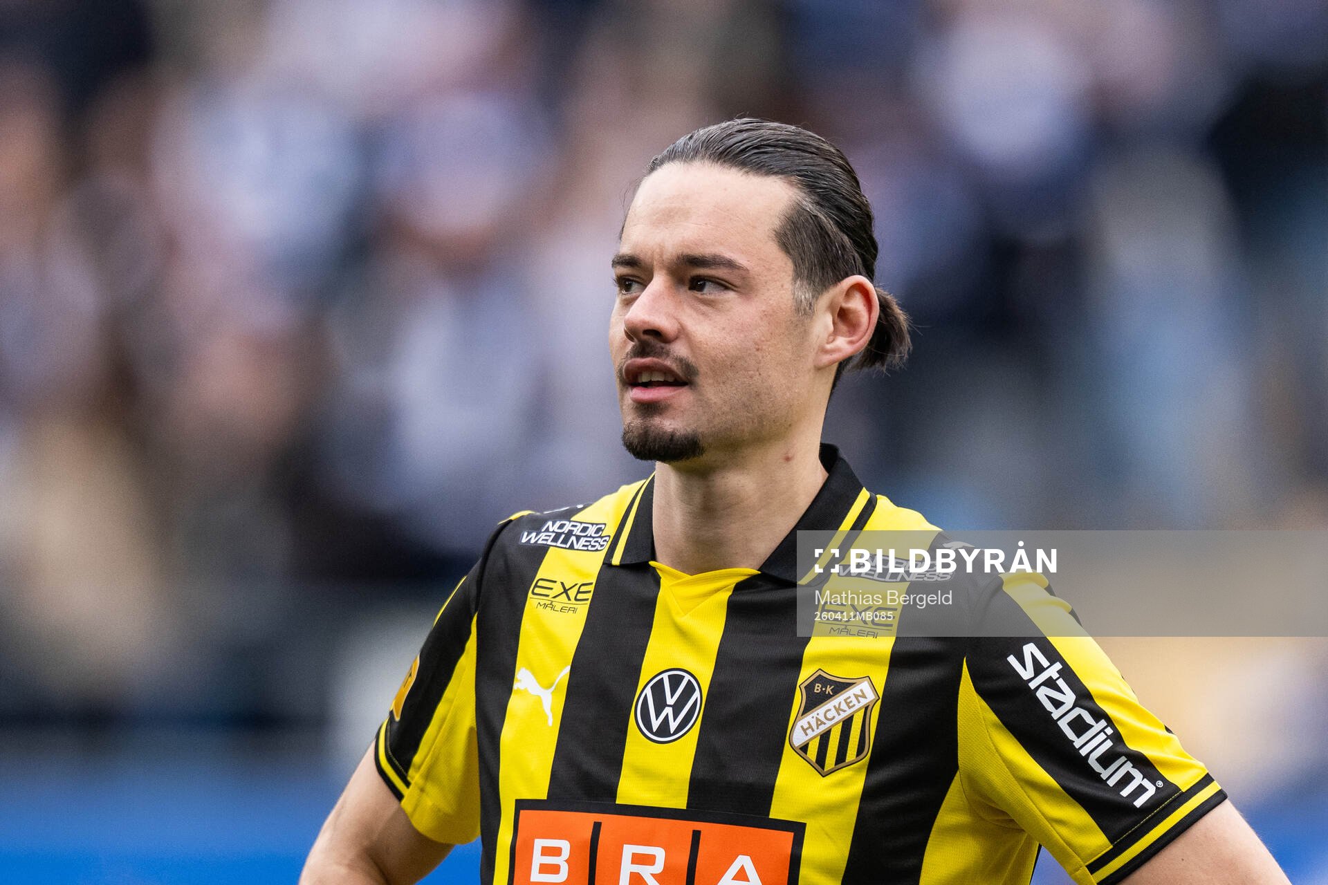 Häckens Amor Layouni