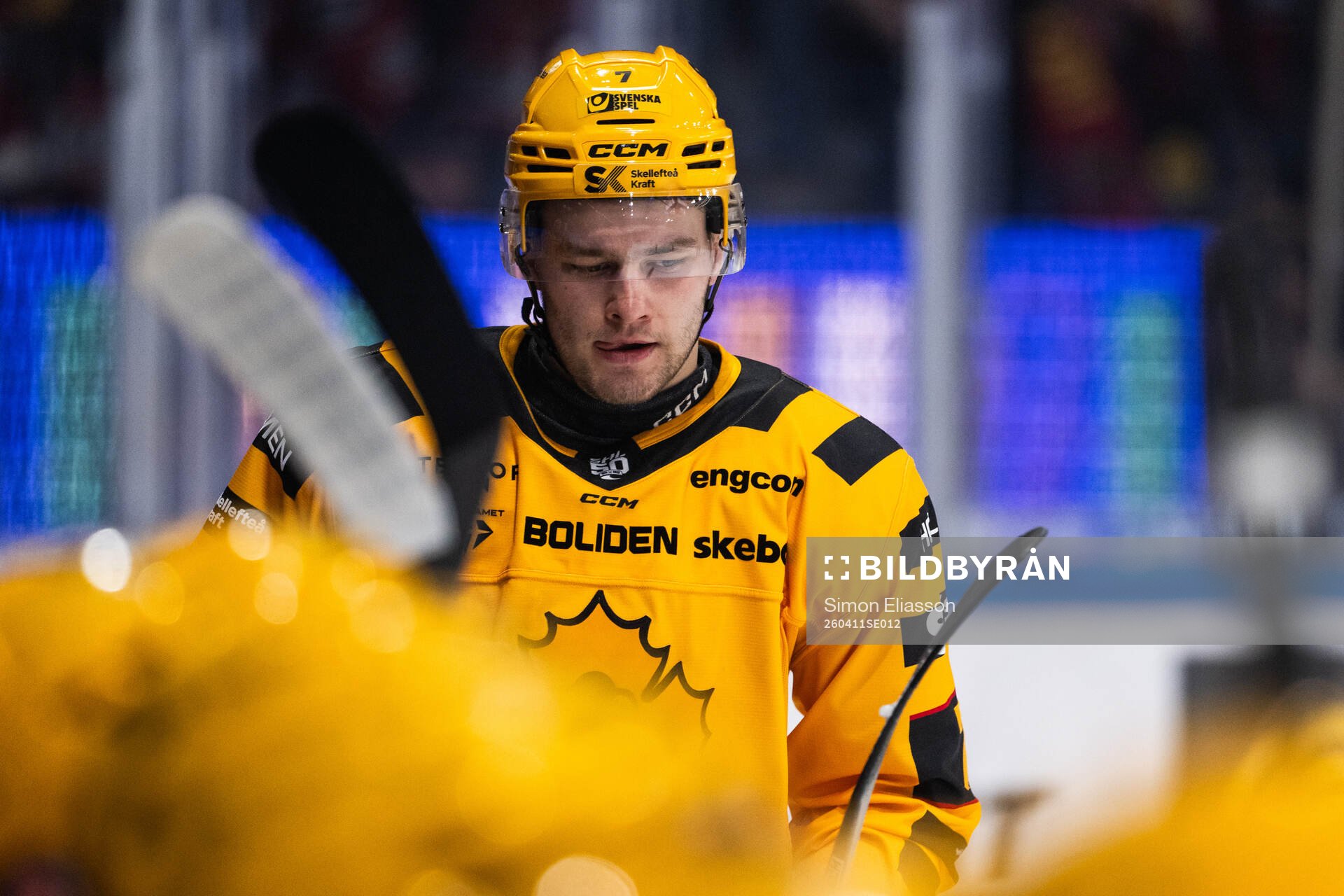 Skellefteås Frans Haara