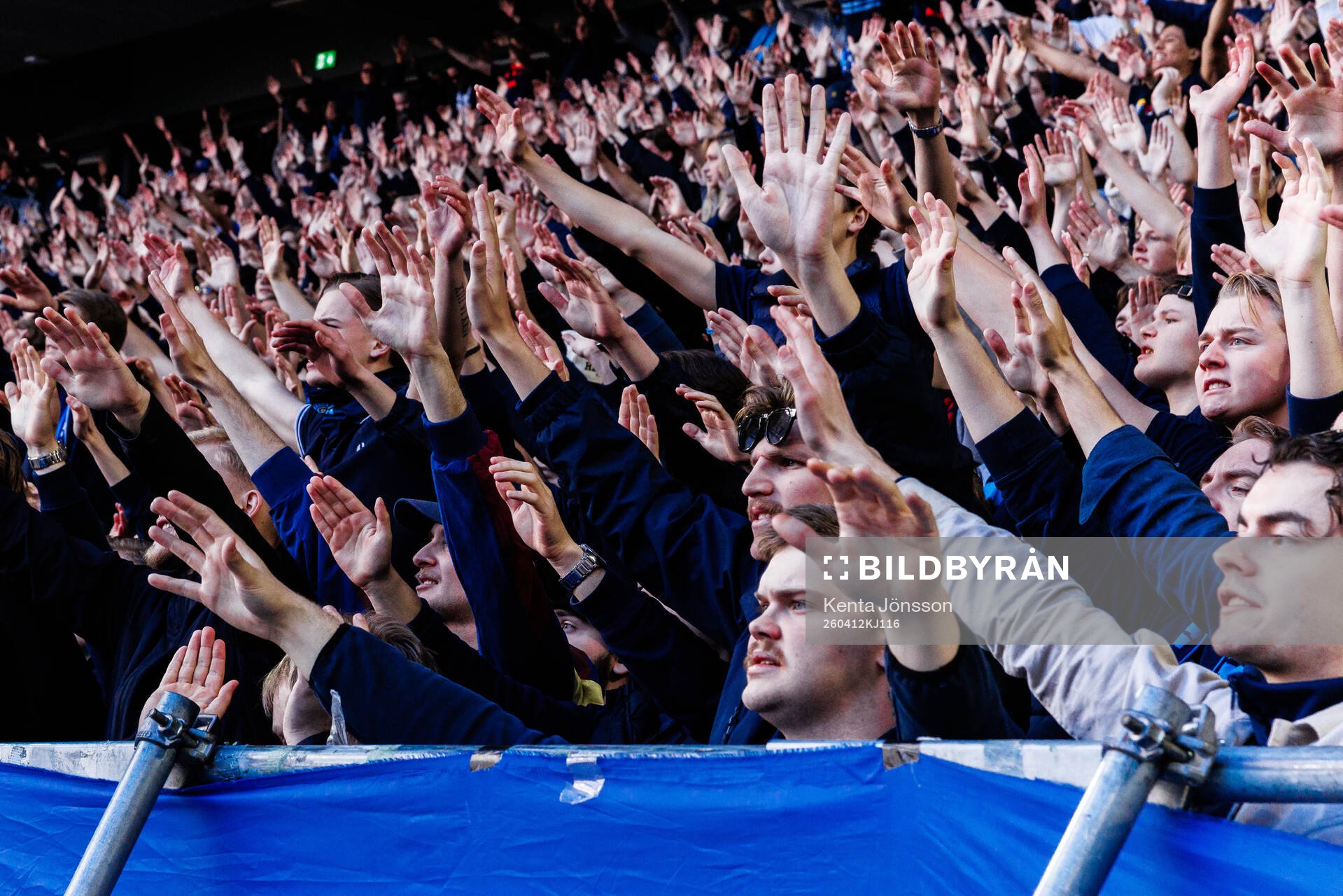 Djurgårdens supportrar
