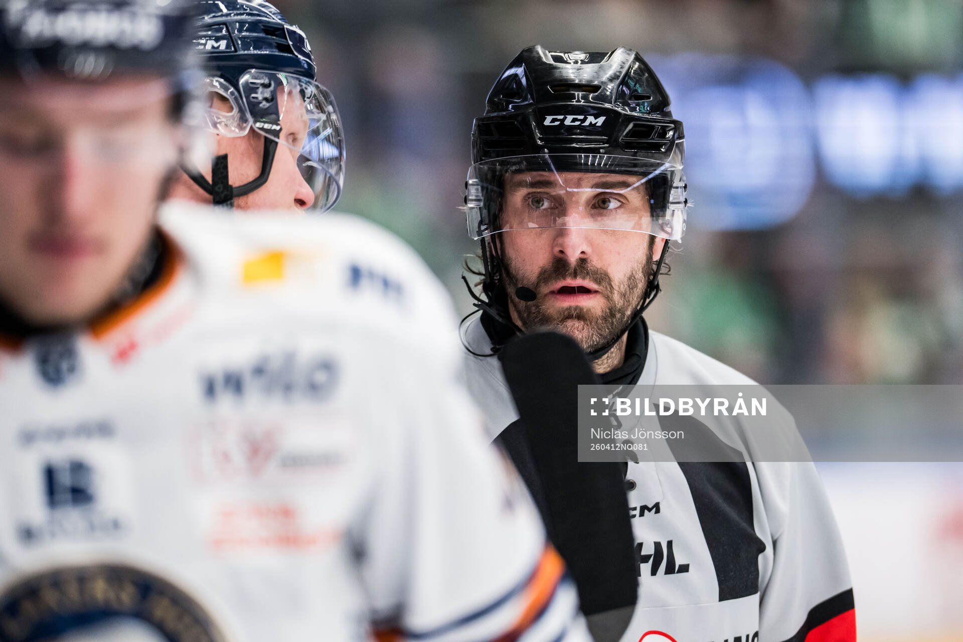 Domare Mikael Sjöqvist
