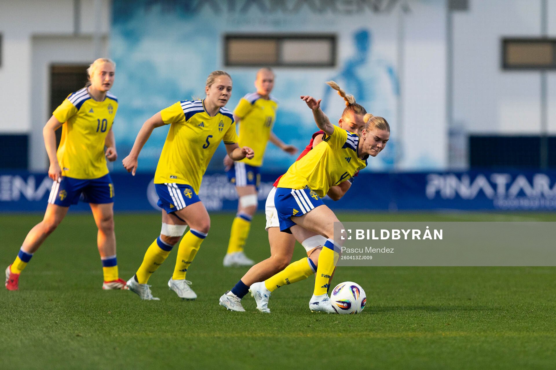 Alice Bergström and My Cato of Sweden