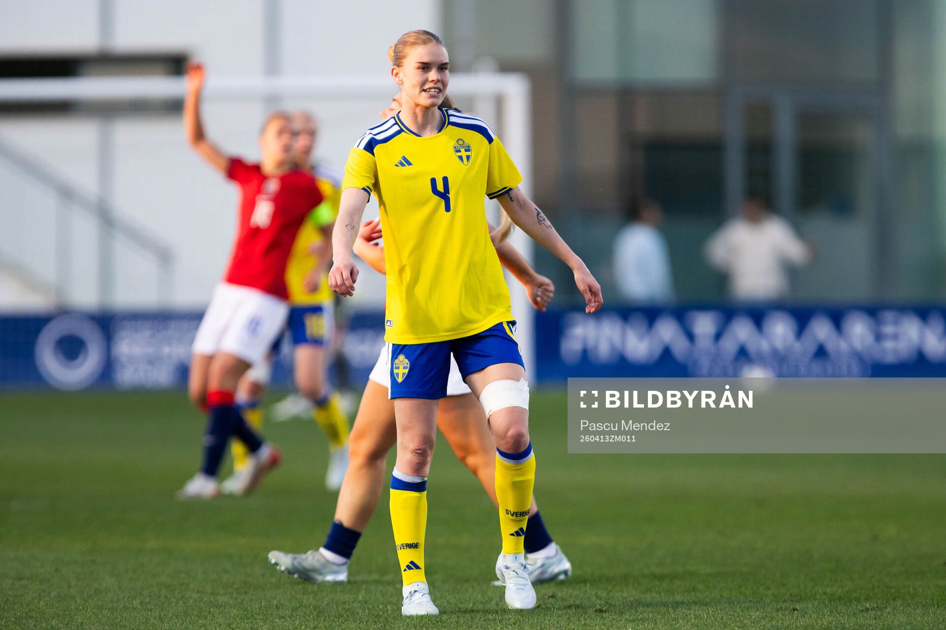 My Cato of Sweden
