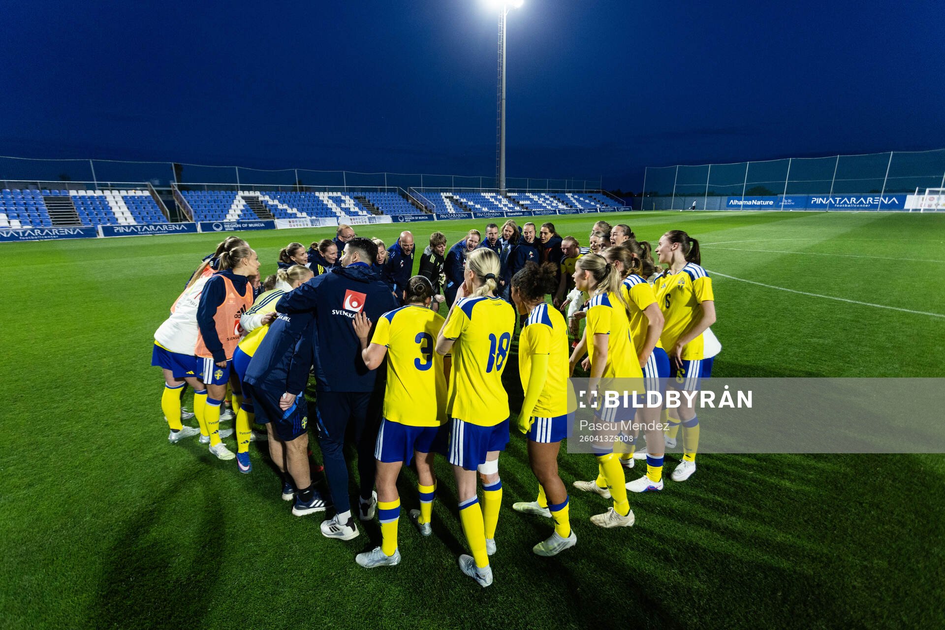 Players of Sweden
