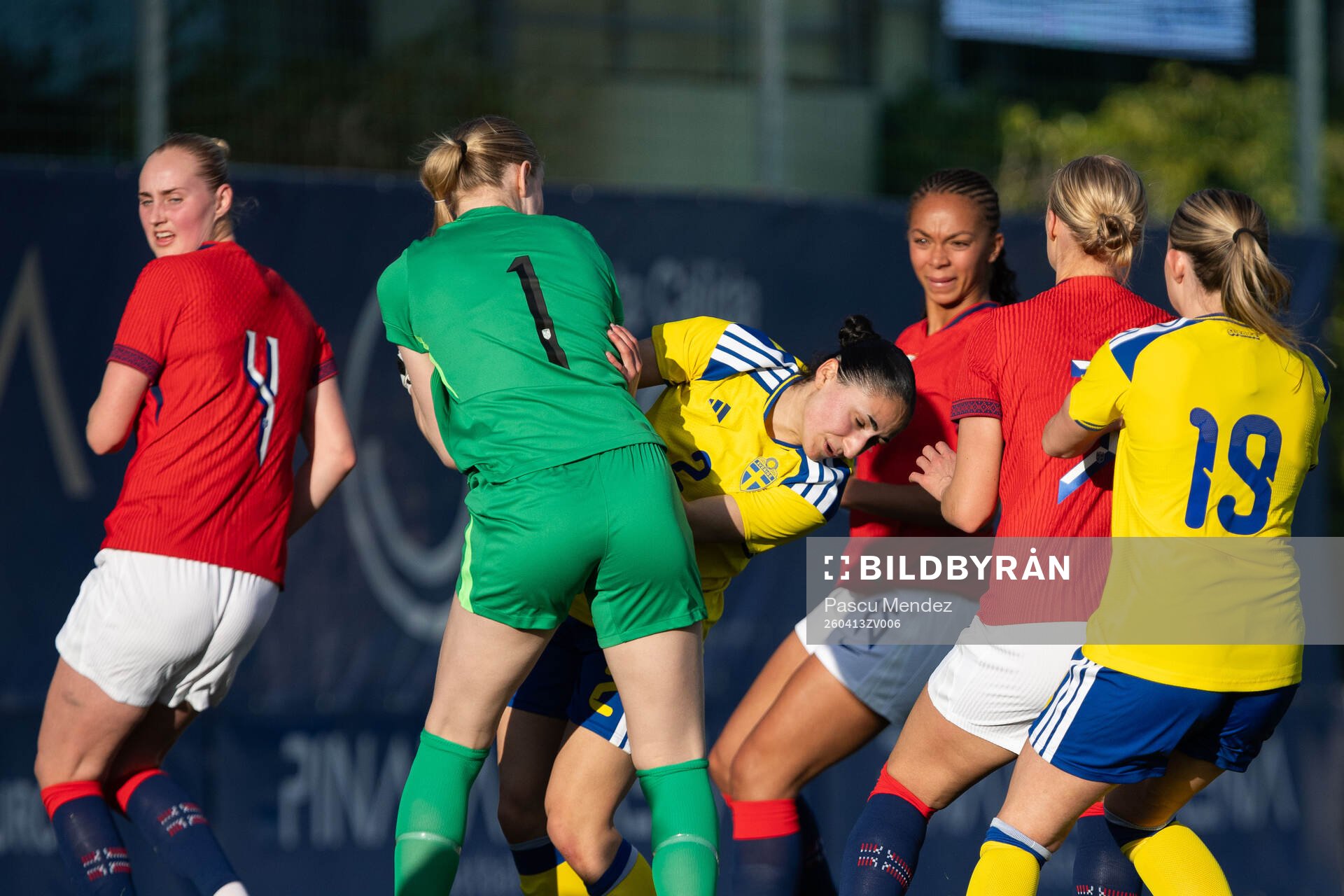 Goalkeeper Thiril Erichsen of Norway and Nesrin Akgun of