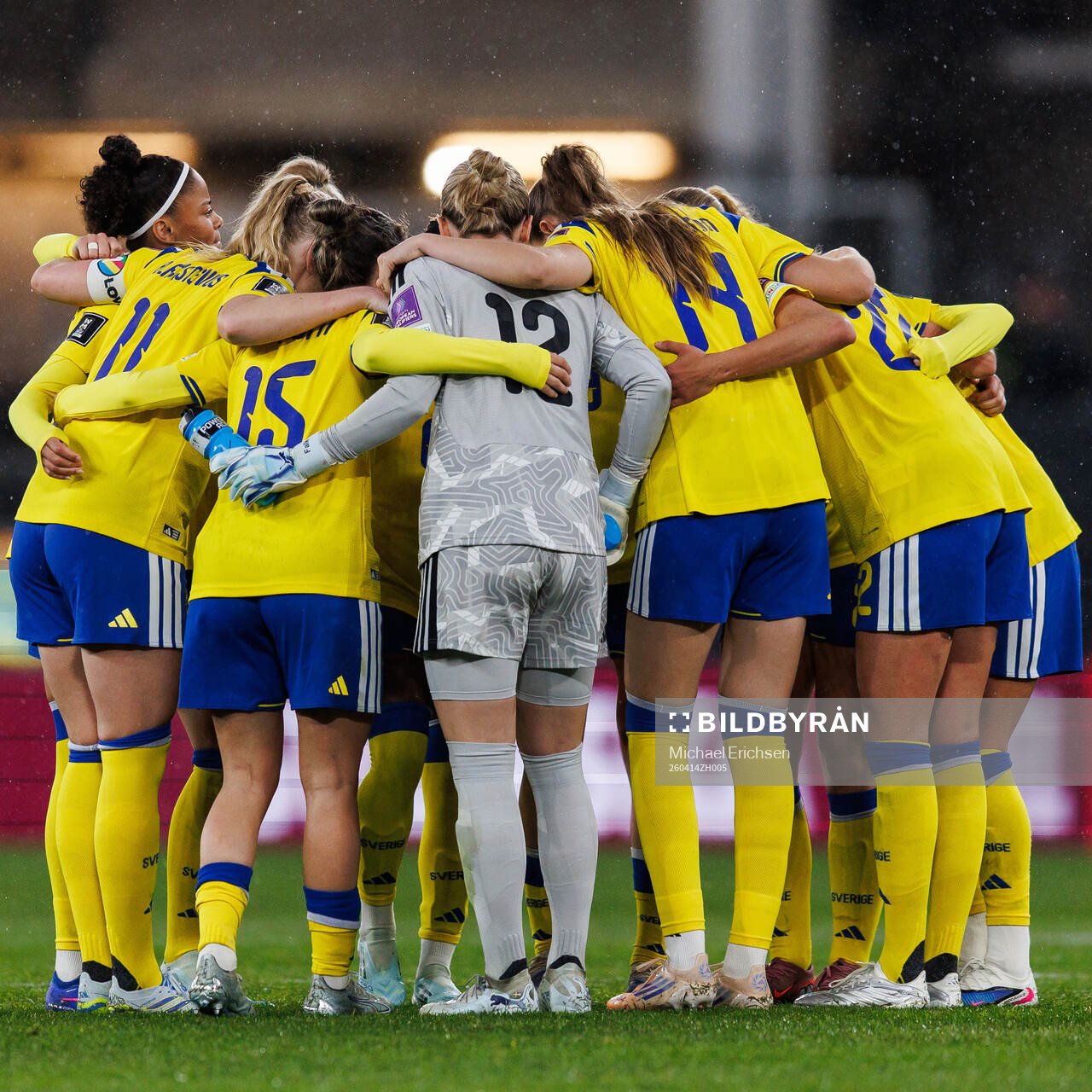 Players of Sweden gather