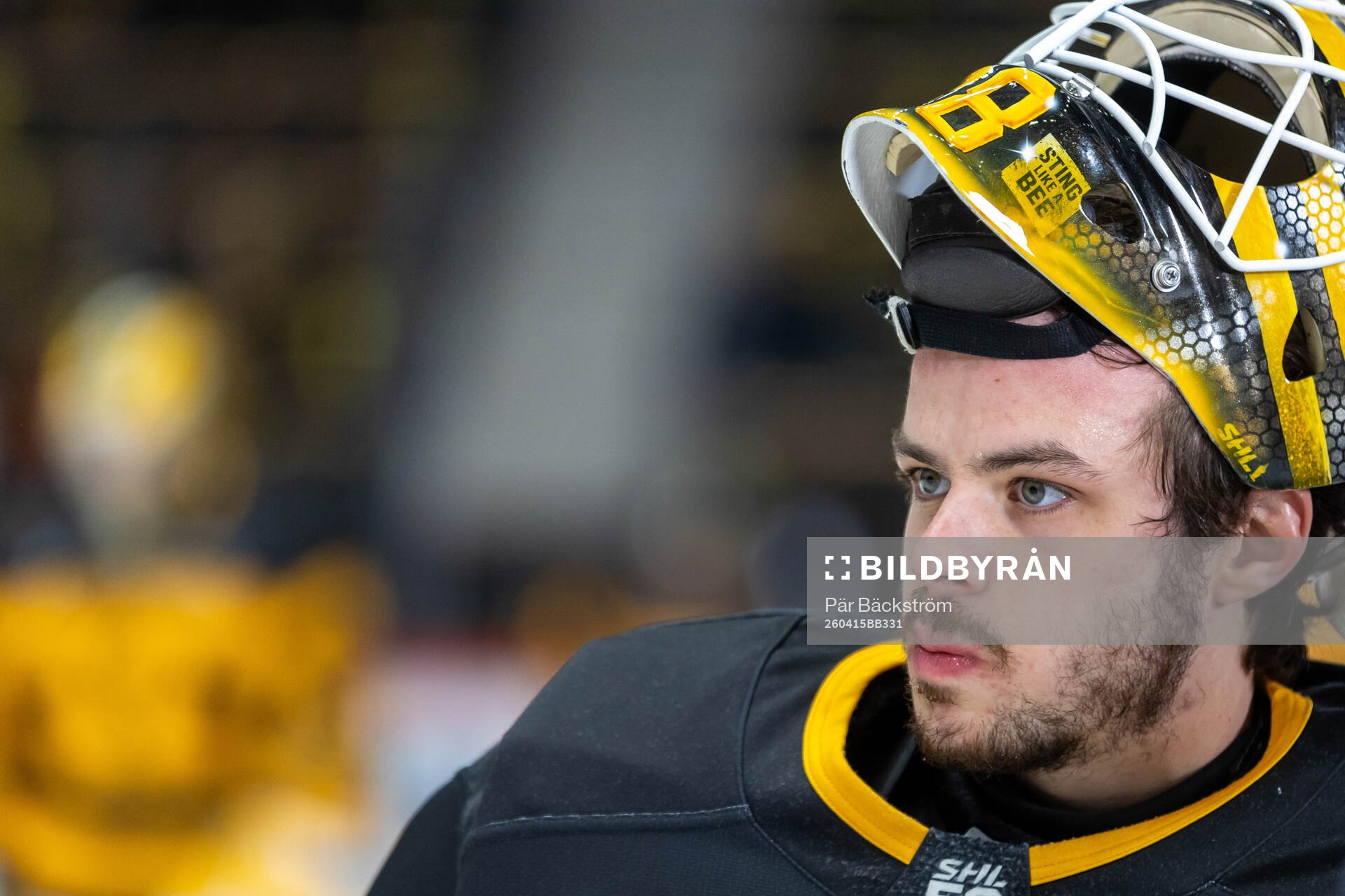 Skellefteås målvakt Strauss Mann